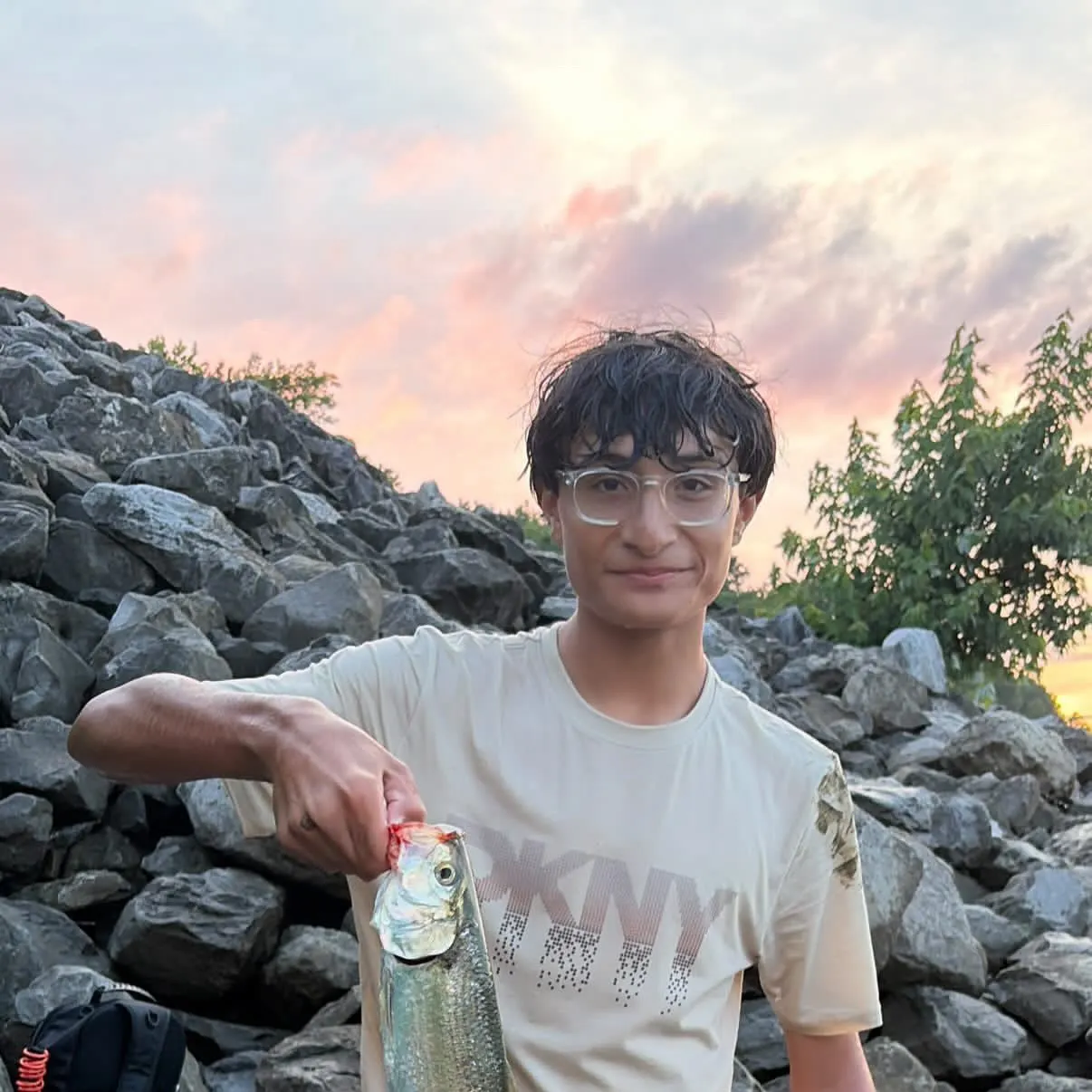 The most recent Skipjack herring catches on Fishbrain