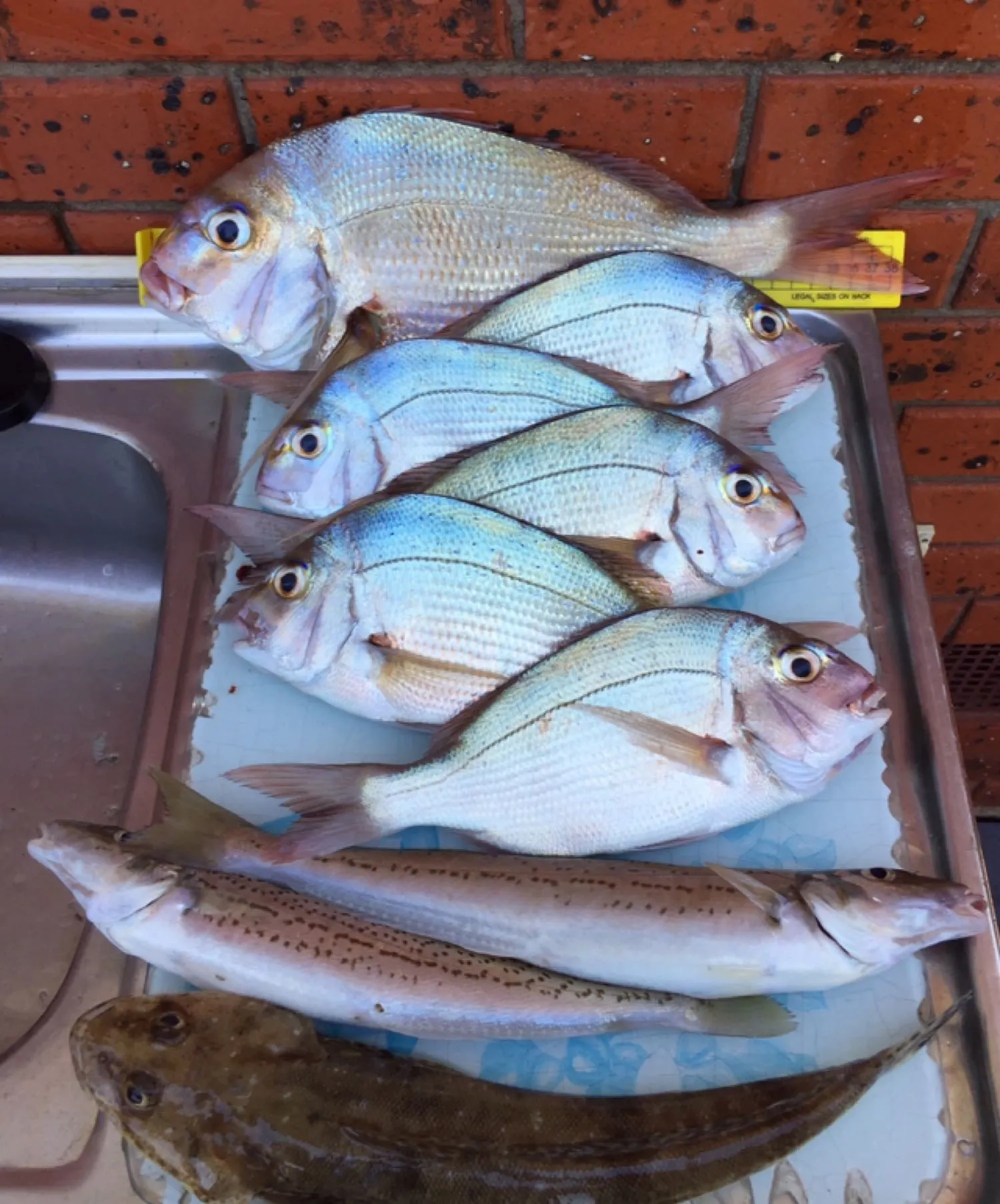 Post image from tkirkovski