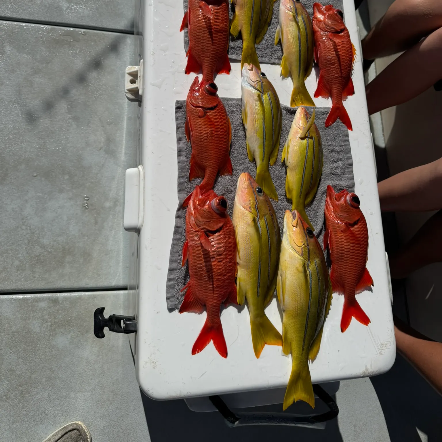 catch