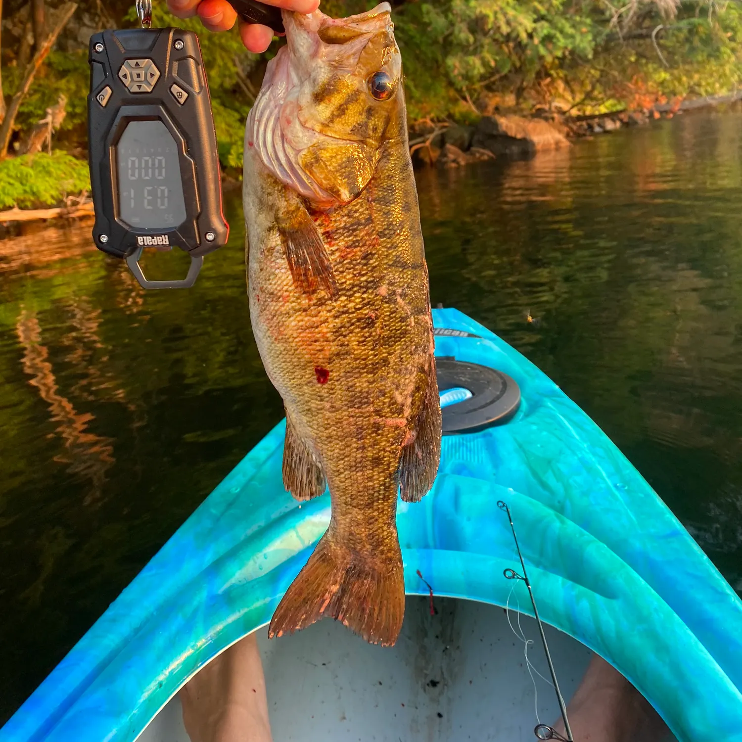 angler catch