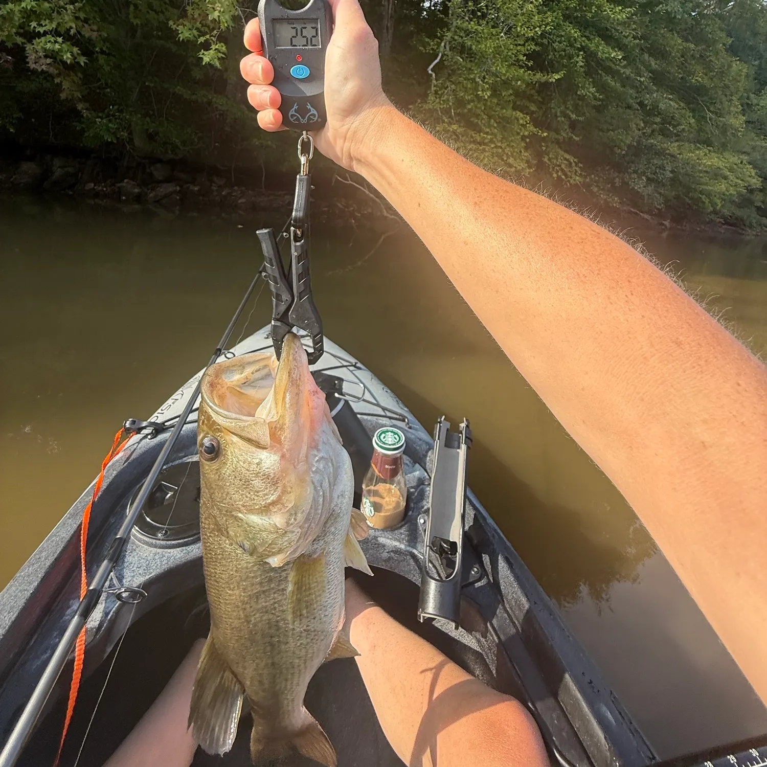 Largemouth bass caught on Fishbrain