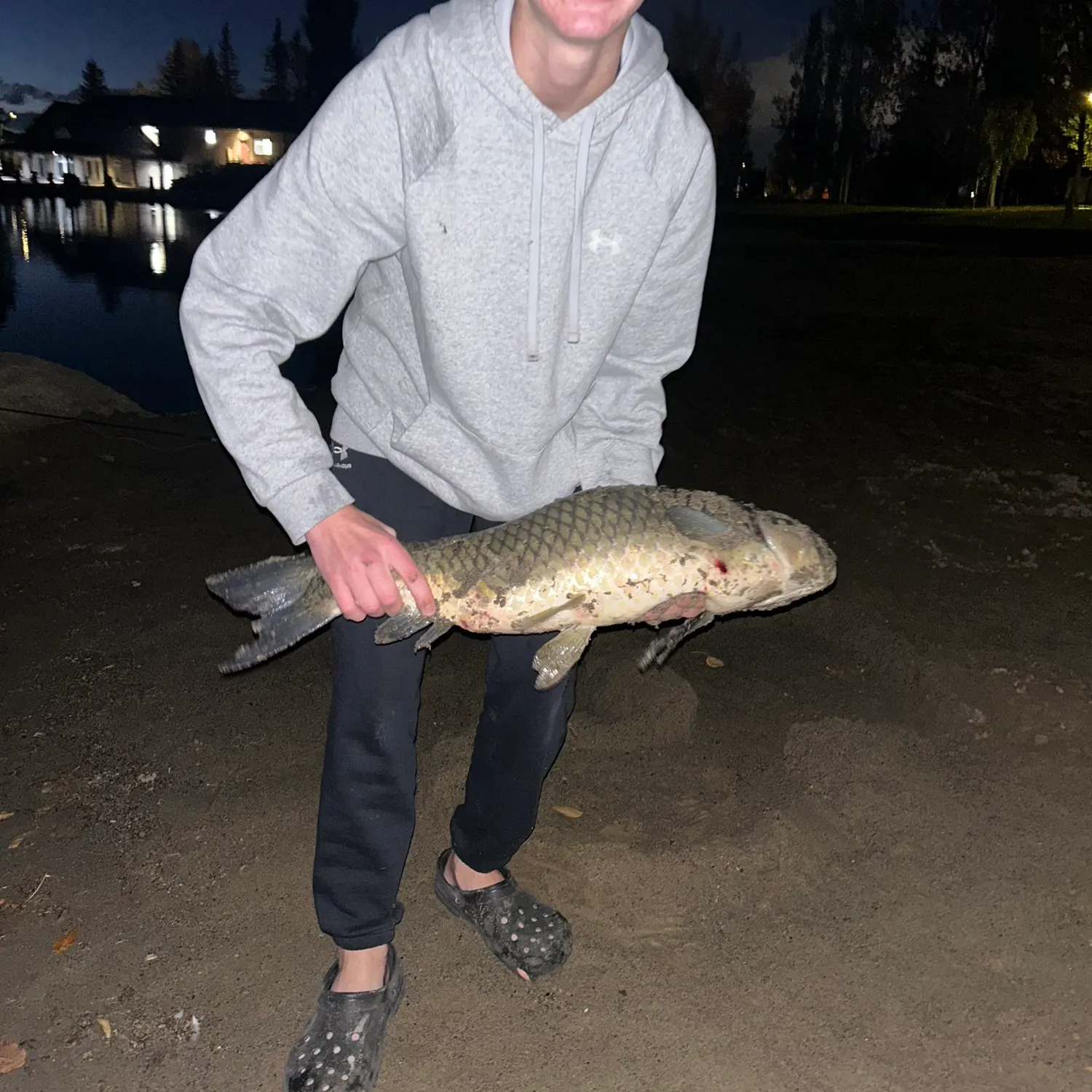 Grass carp caught on Fishbrain