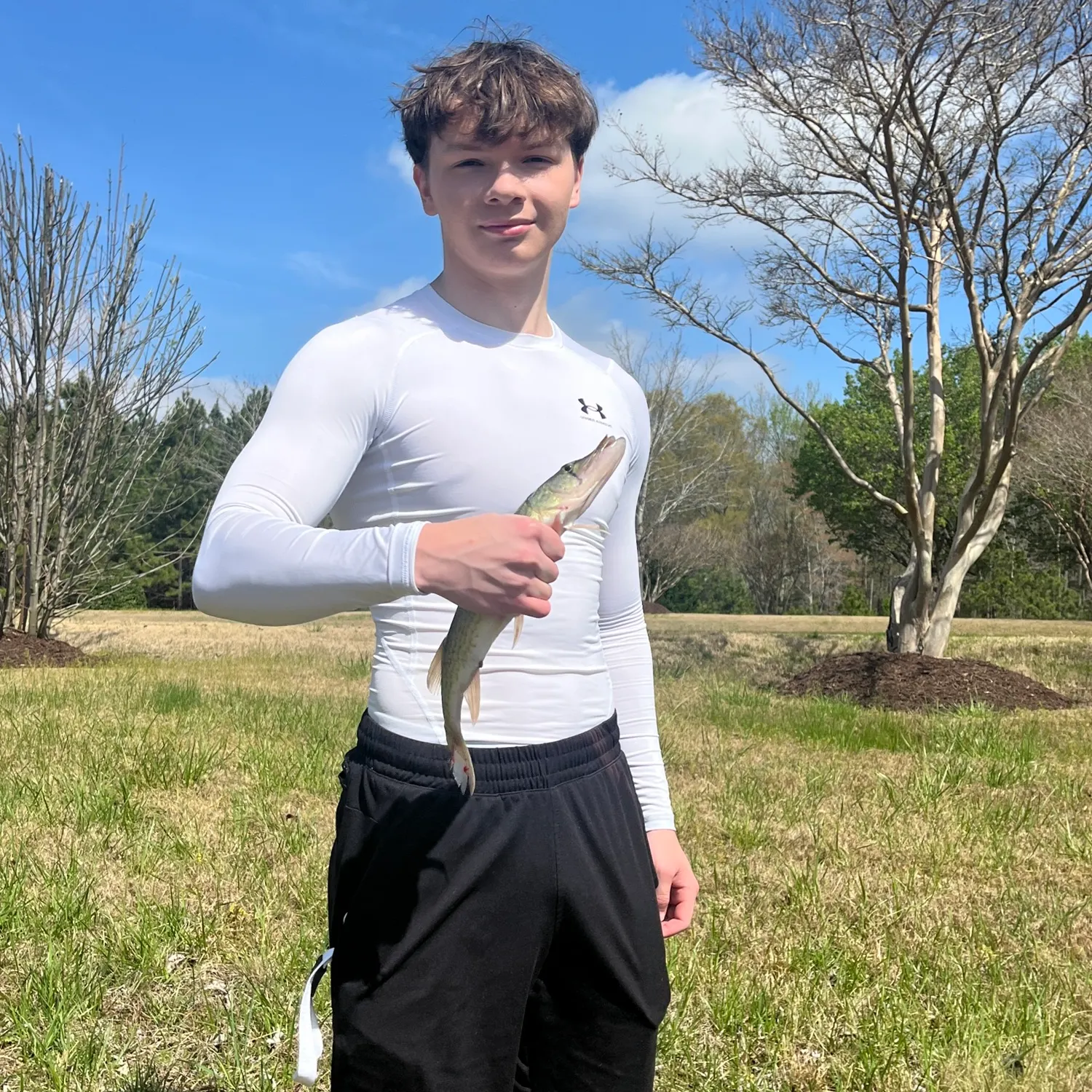 The most recent Chain pickerel catches on Fishbrain