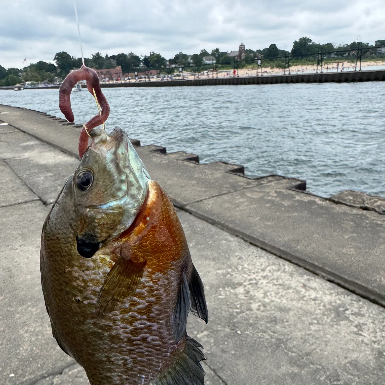 catch