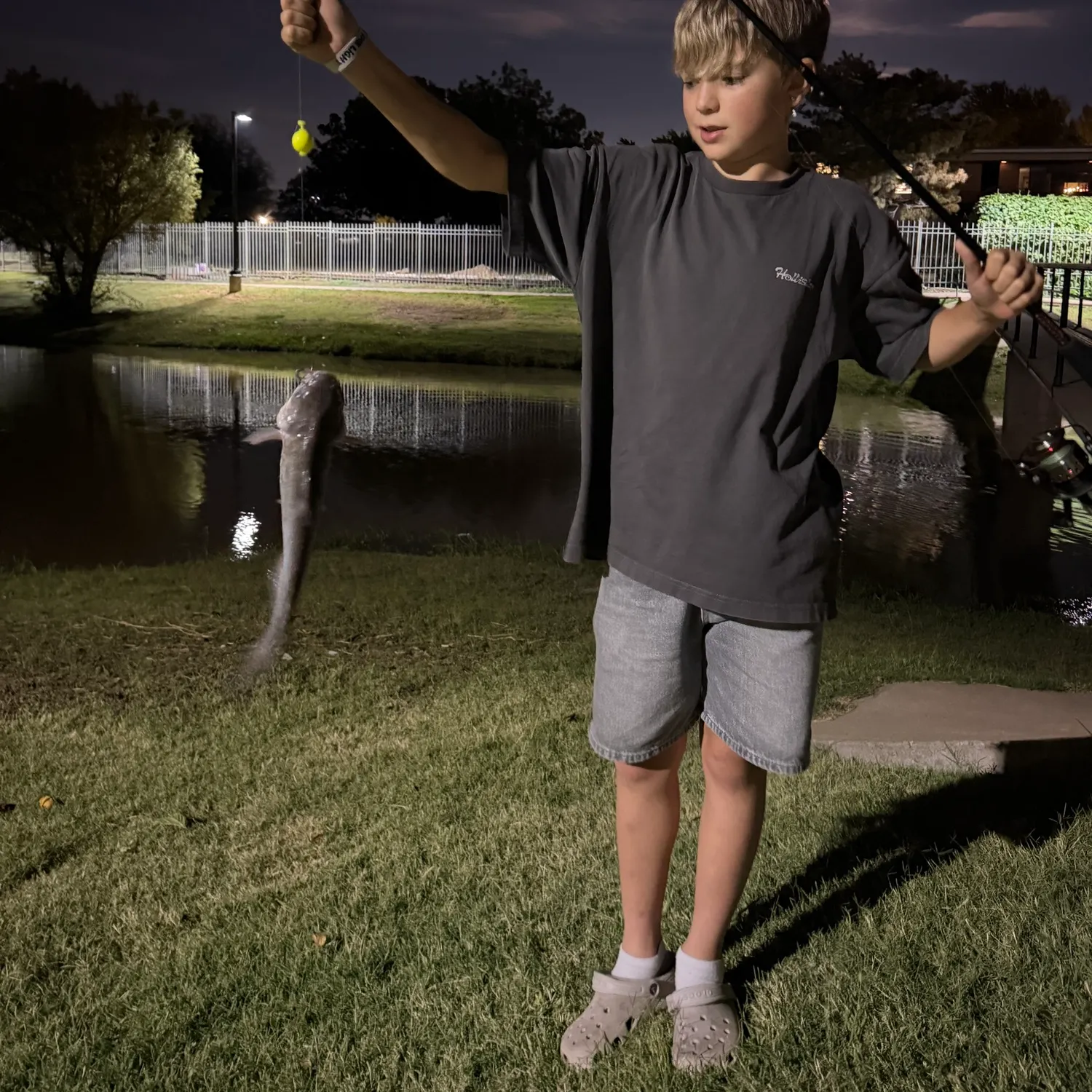 Channel catfish caught on Fishbrain