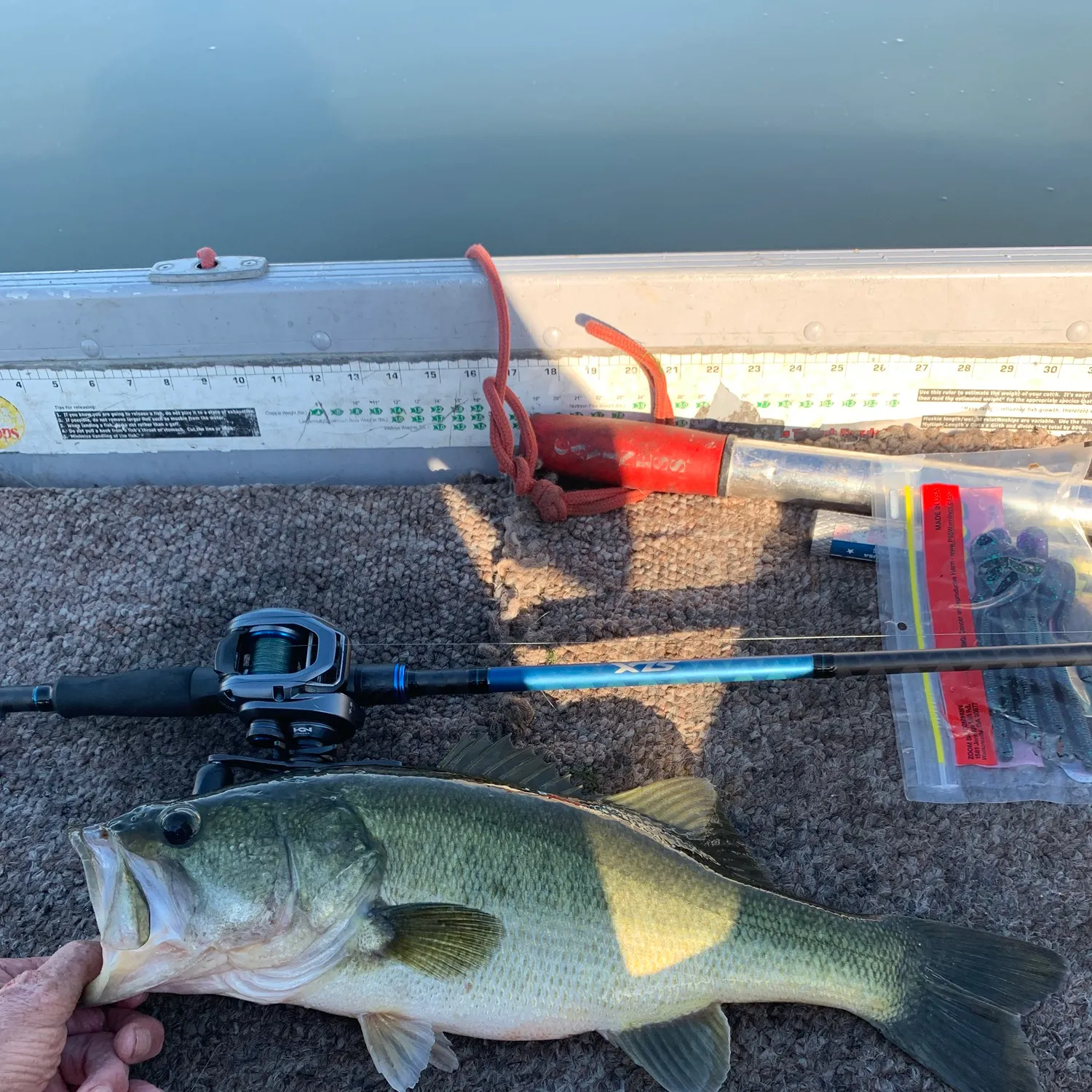 Largemouth bass caught on Fishbrain
