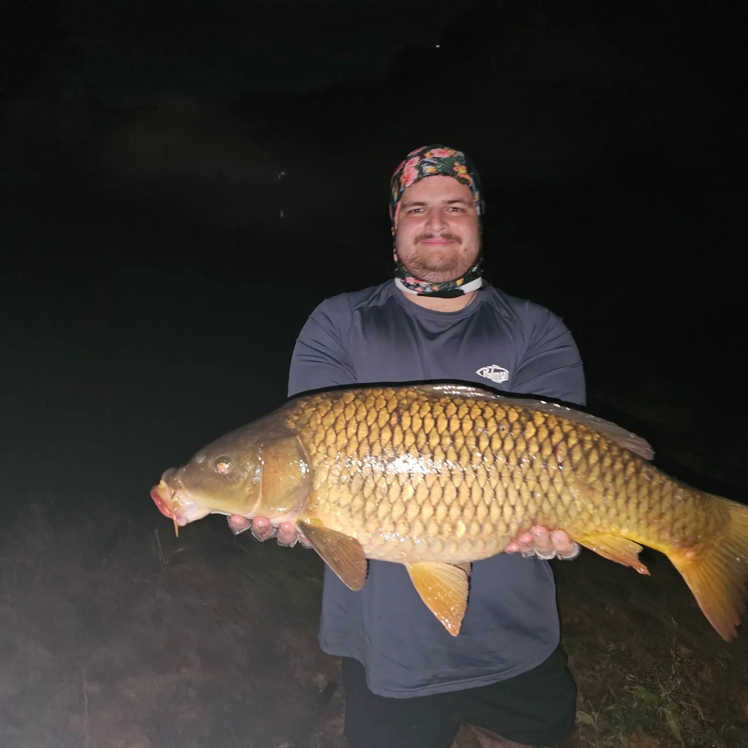 Common carp caught on Fishbrain