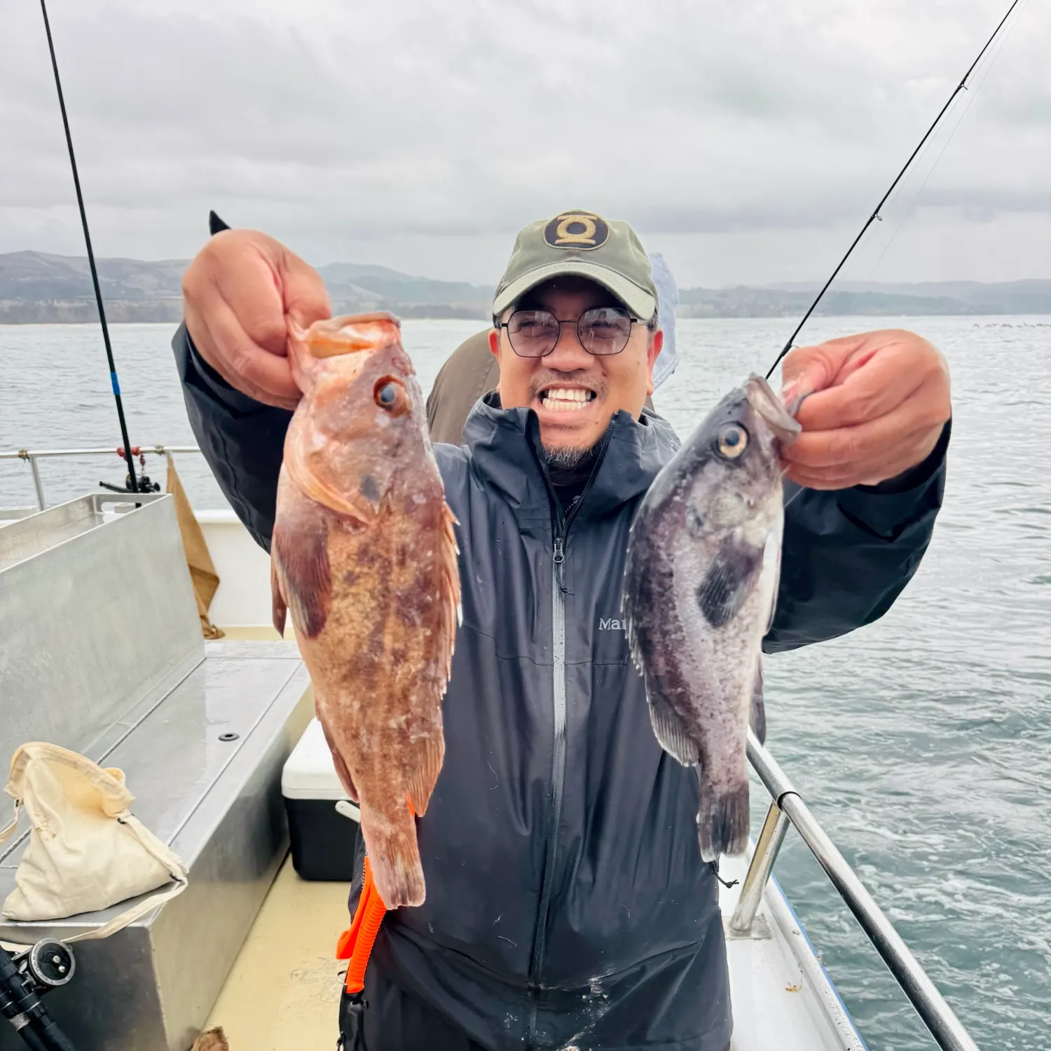 The most recent Brown rockfish catches on Fishbrain