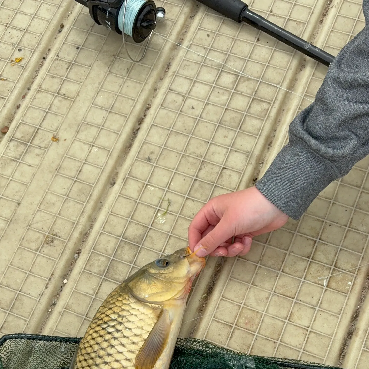 catch