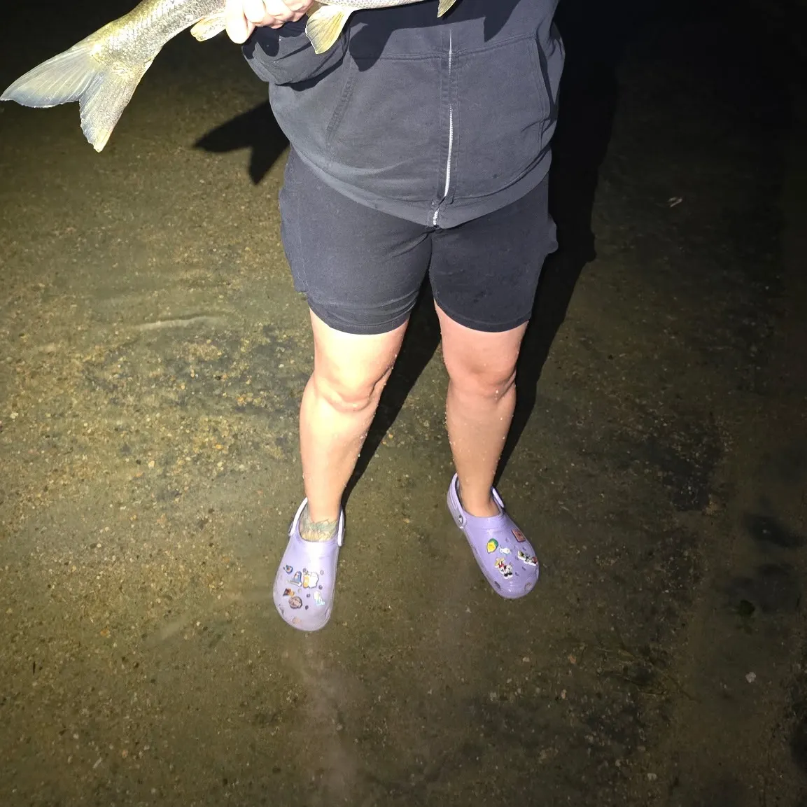 Northern pikeminnow caught on Fishbrain