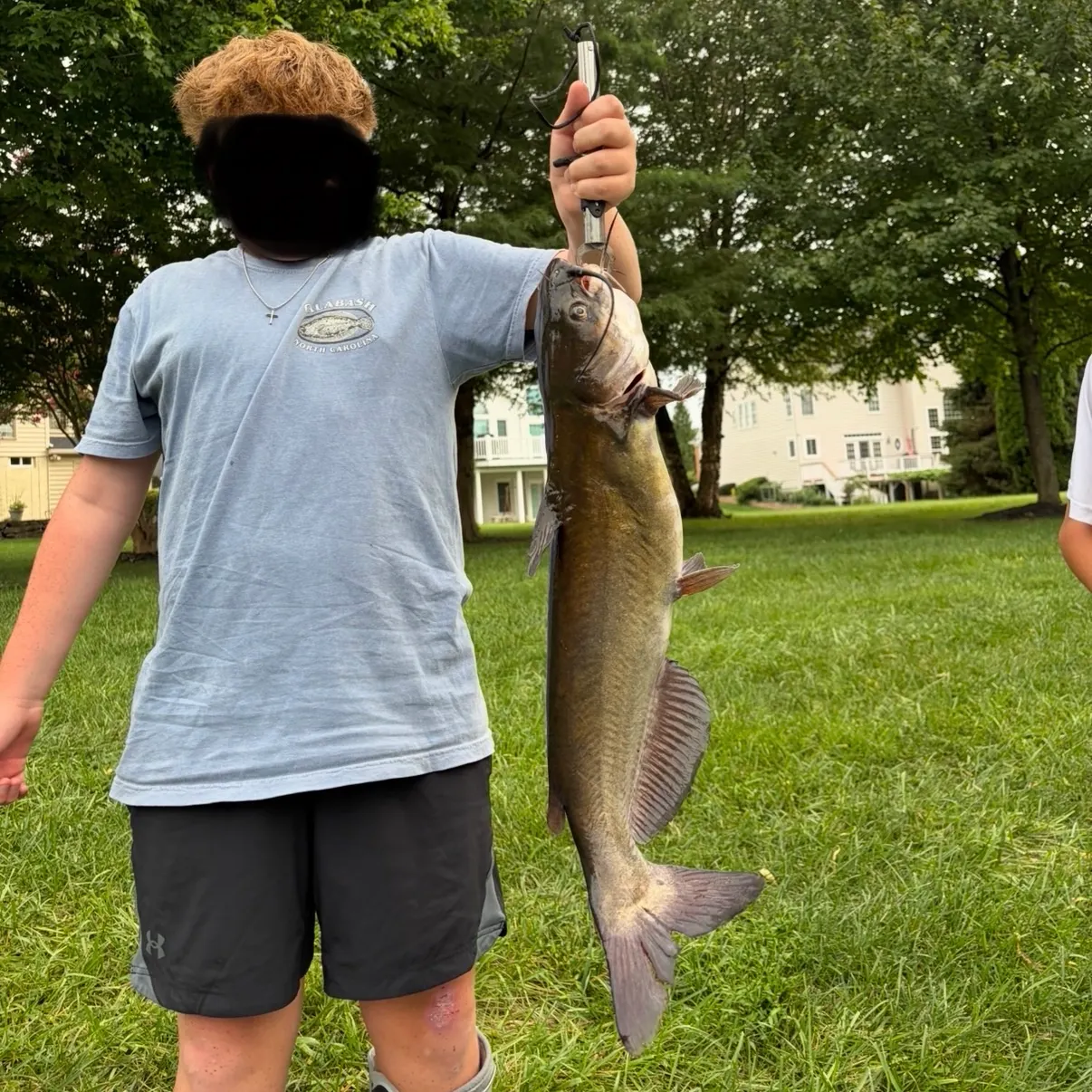 Channel catfish caught on Fishbrain