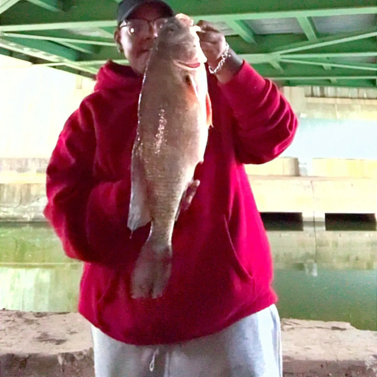 Freshwater drum caught on Fishbrain