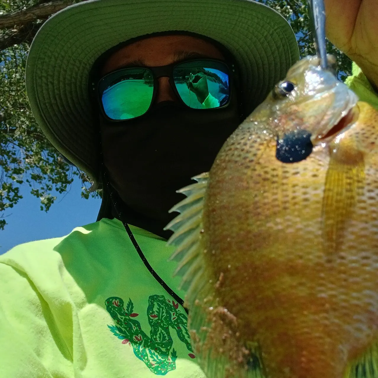 The most recent Redbreast sunfish x bluegill catches on Fishbrain