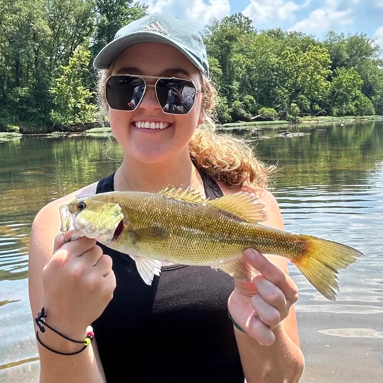 The most recent Alabama bass catches on Fishbrain