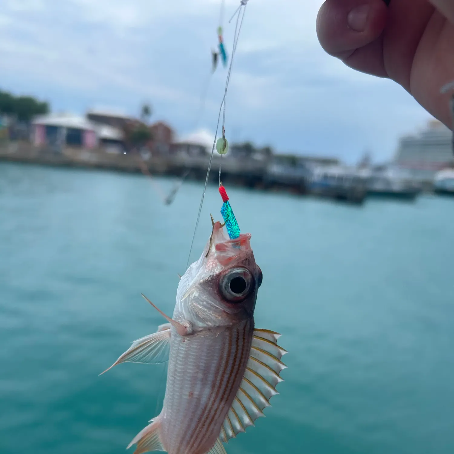 catch