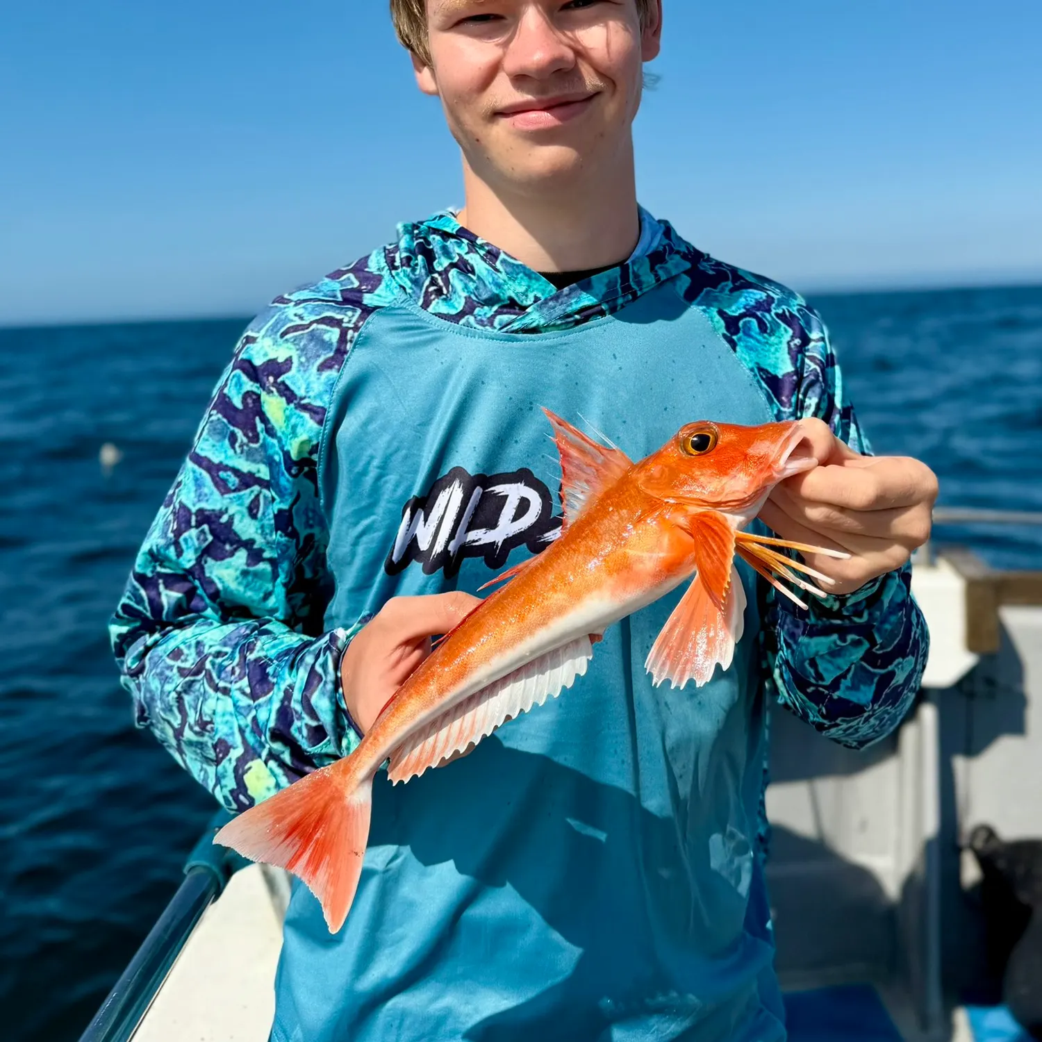 The most recent Red gurnard catches on Fishbrain