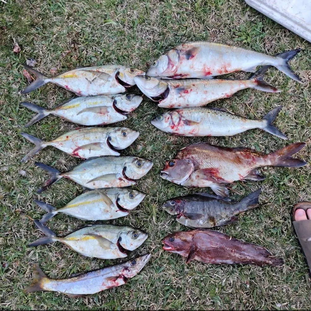Fish caught on Fishbrain