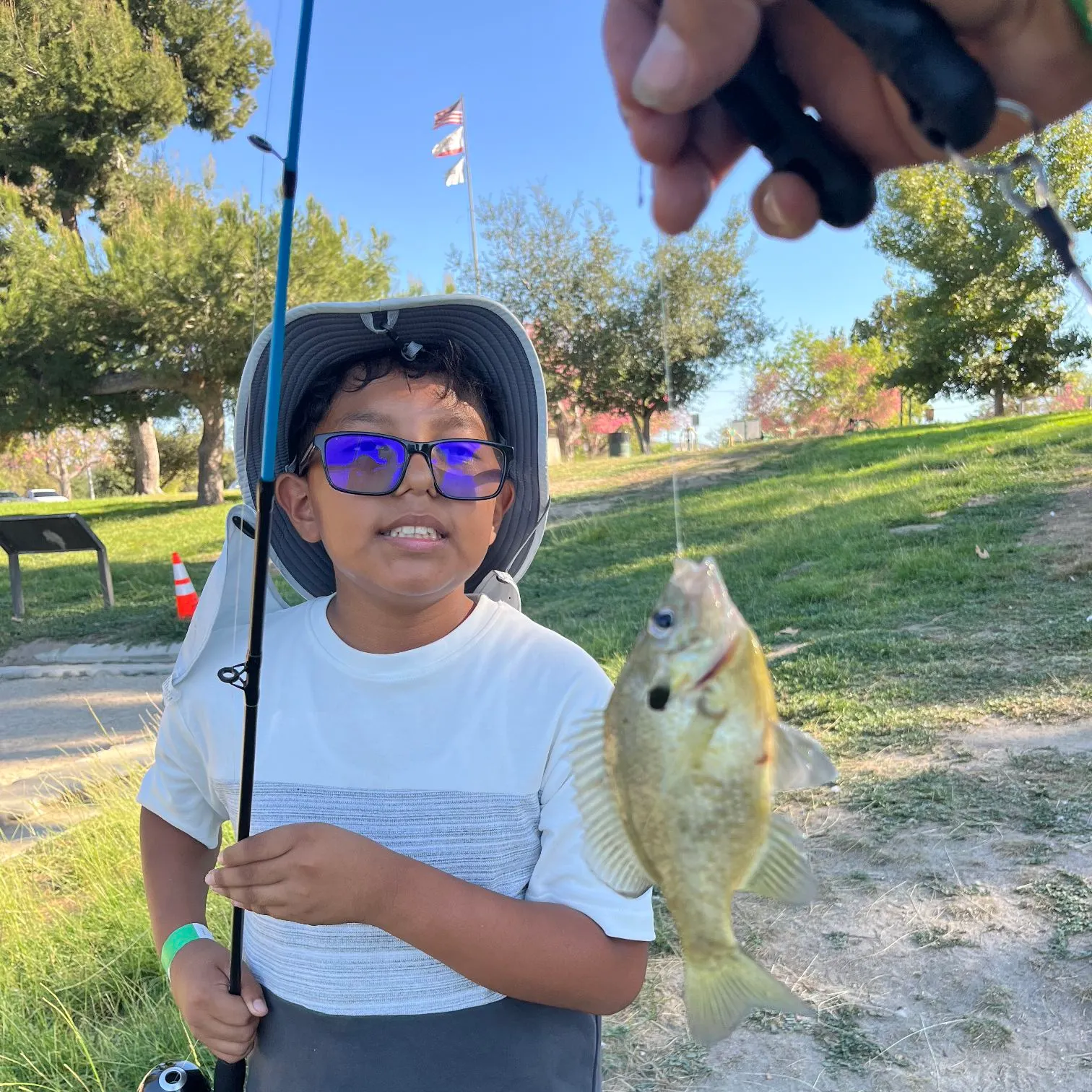 The most recent Blackchin tilapia catches on Fishbrain