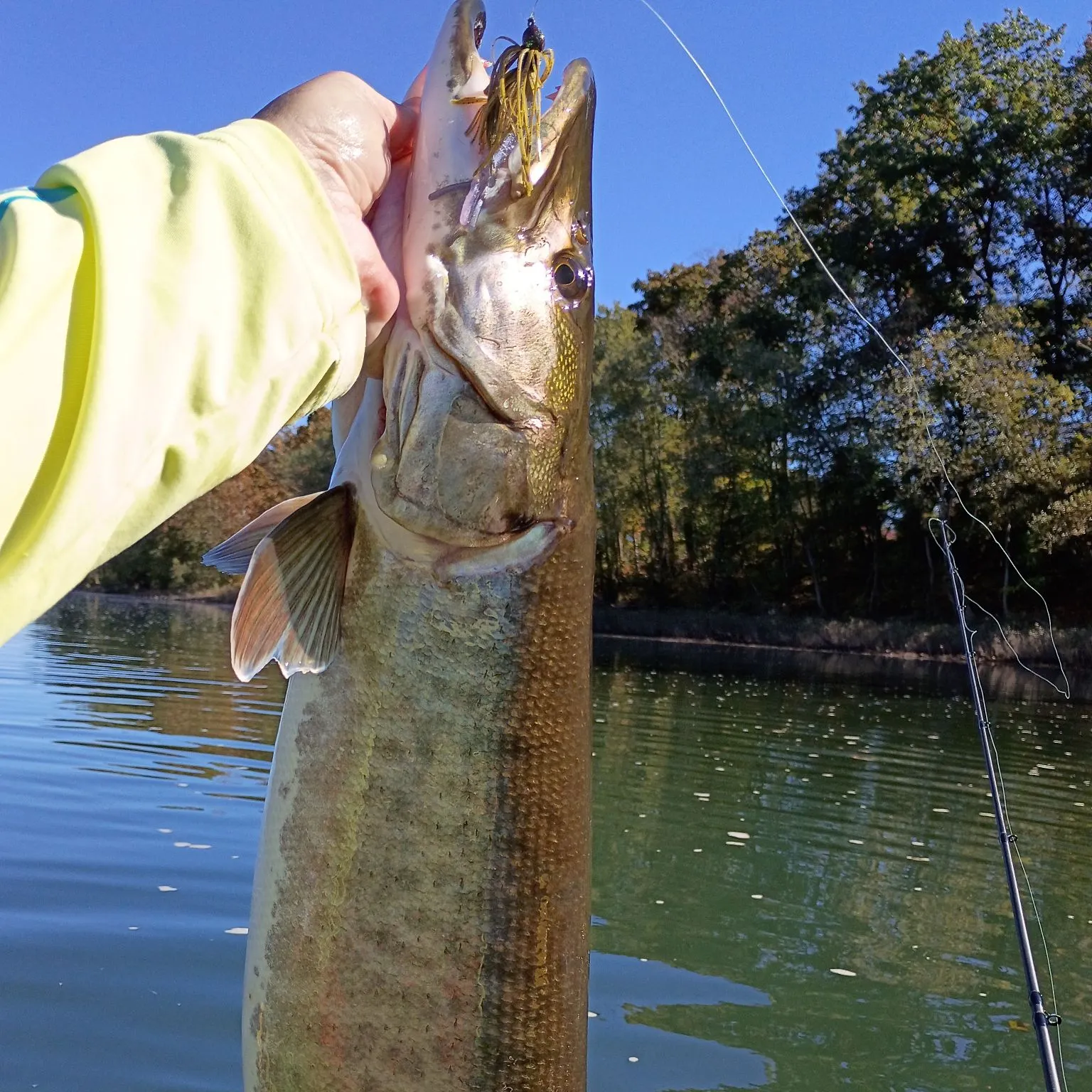 Muskie caught on Fishbrain