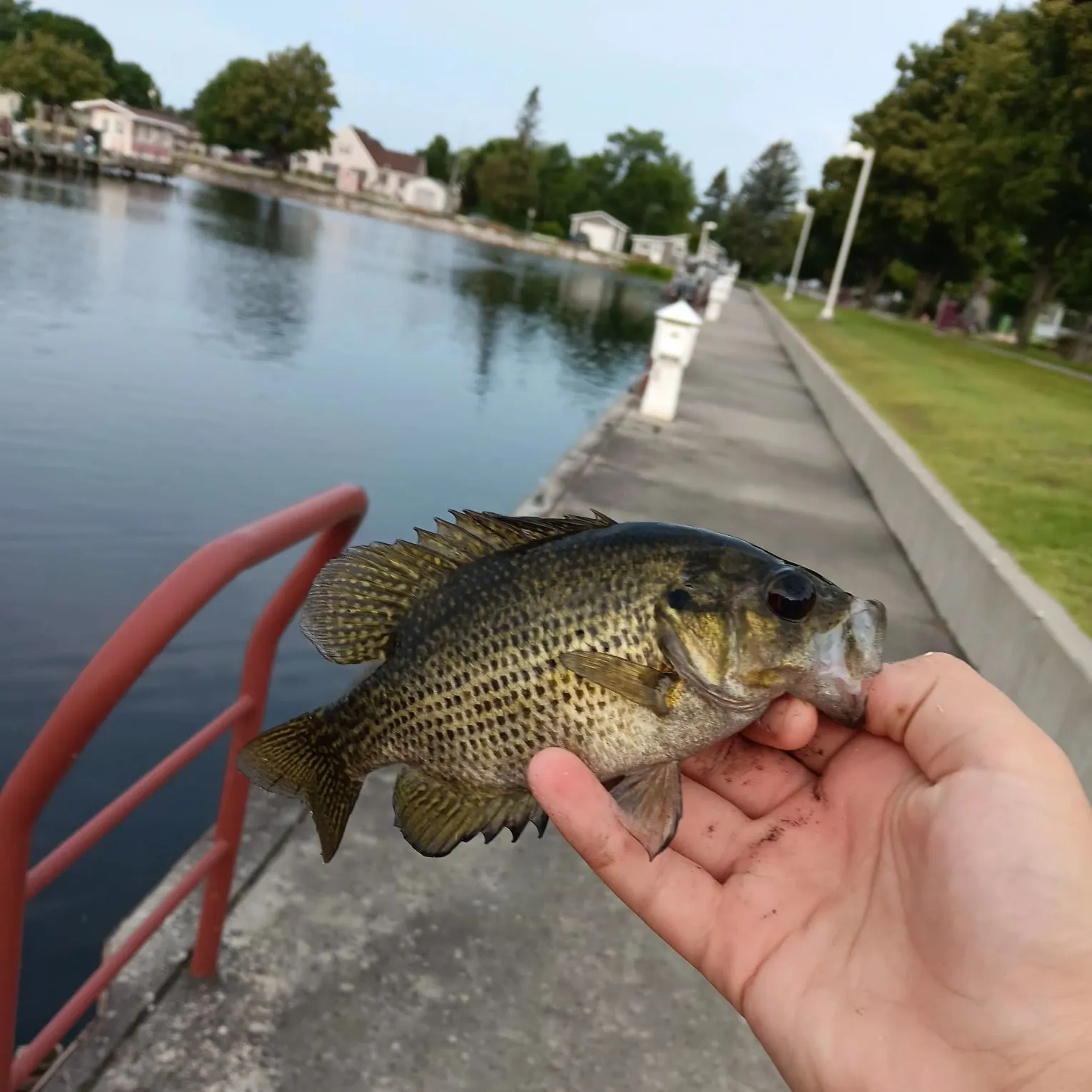 catch