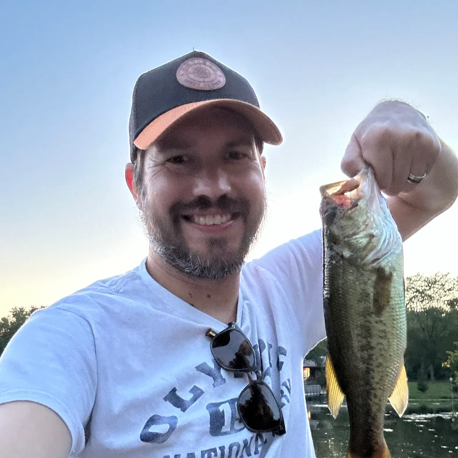 Largemouth bass caught on Fishbrain