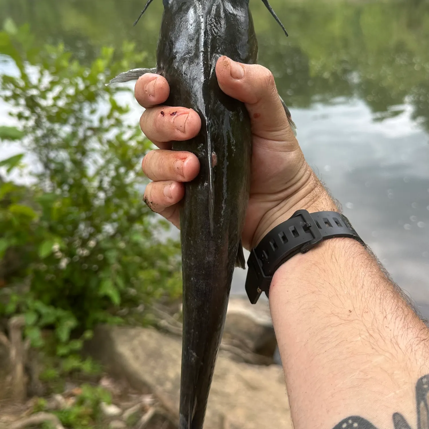 catch