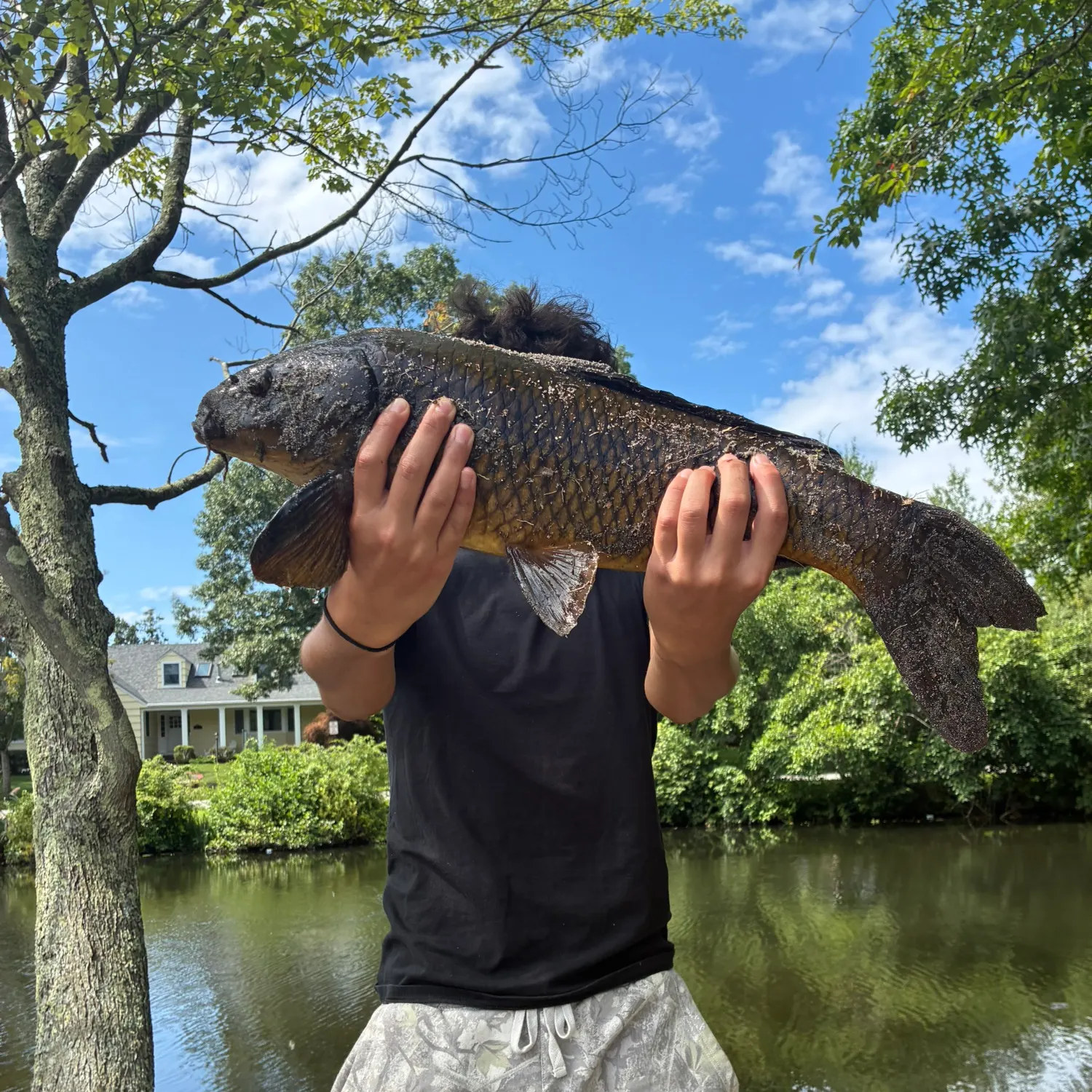 Common carp caught on Fishbrain