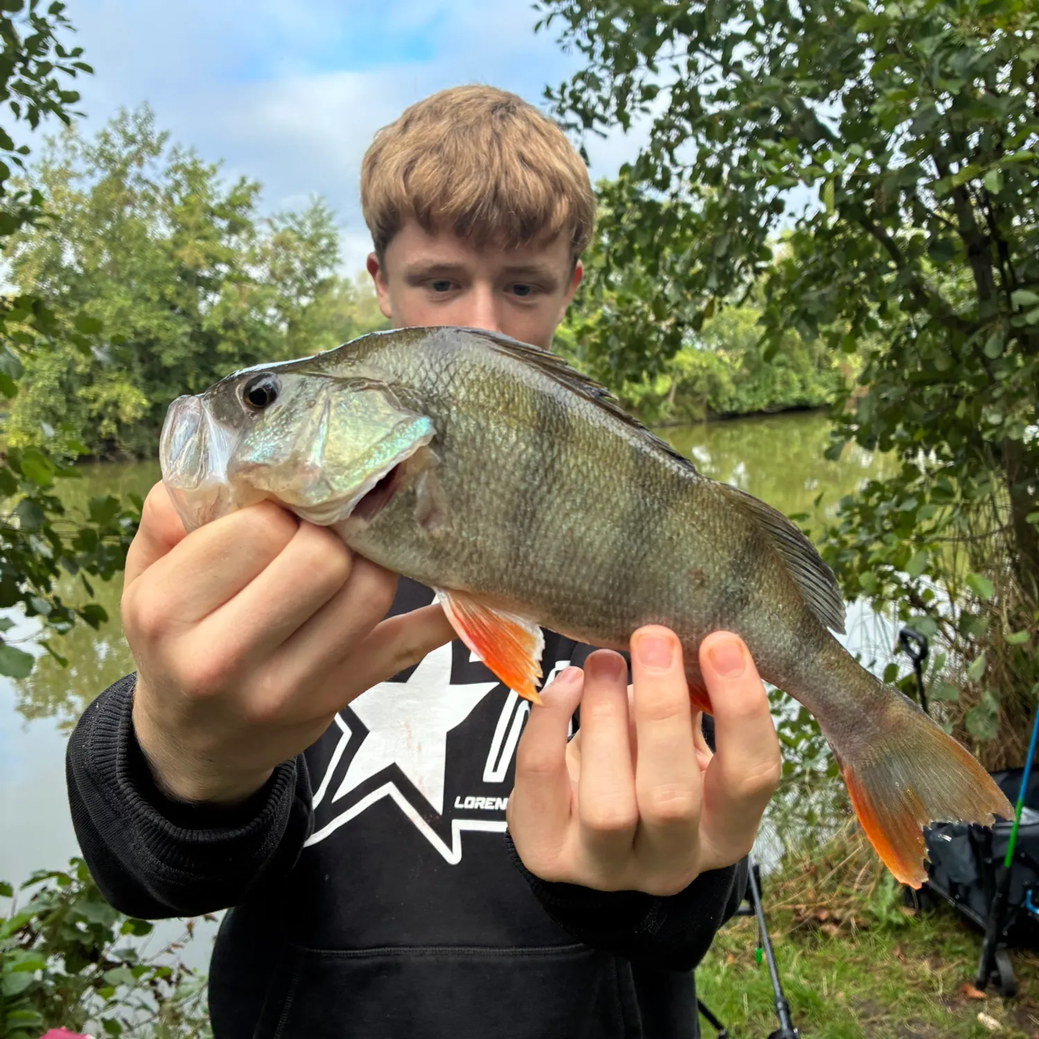 European perch caught on Fishbrain