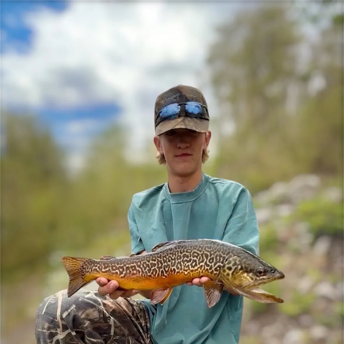 Tiger trout caught on Fishbrain