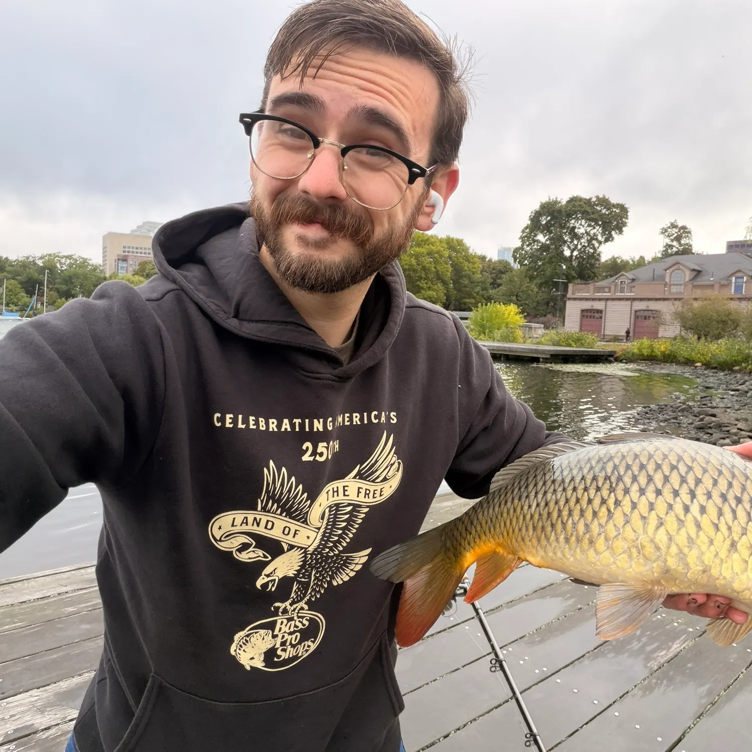 Common carp caught on Fishbrain
