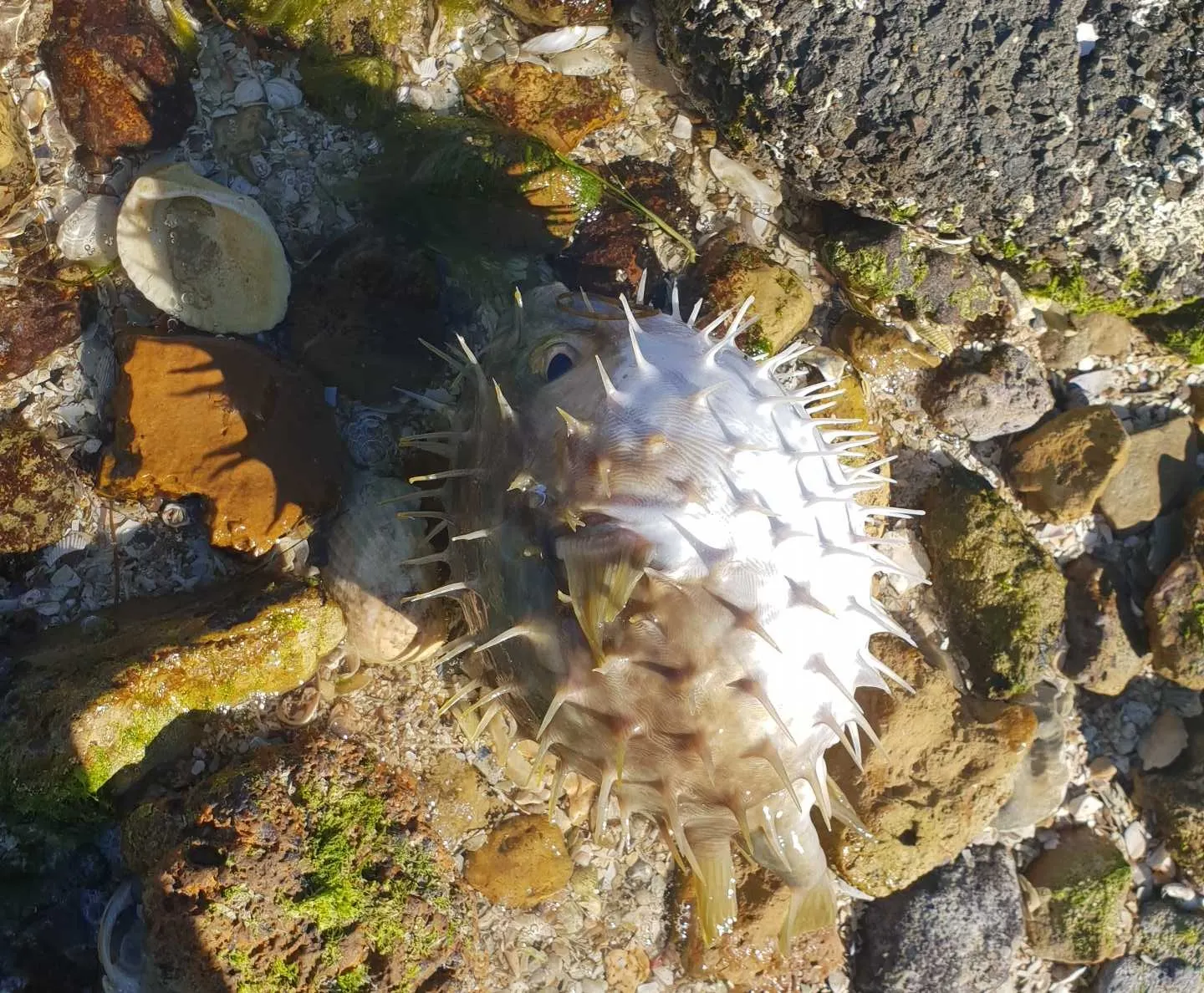 Post image from dylandylman