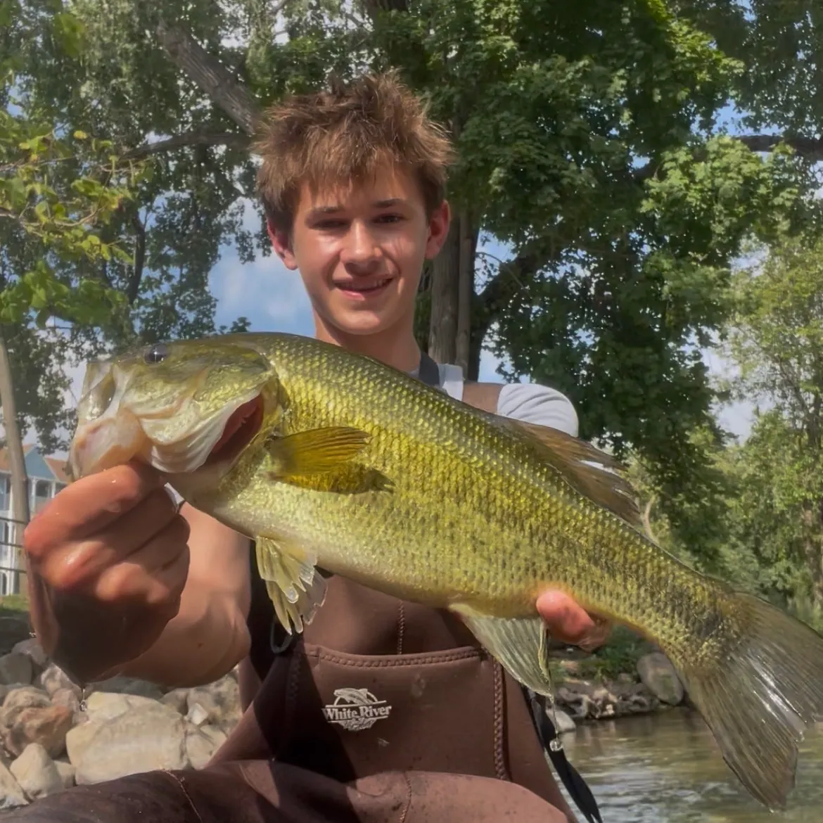 Largemouth bass caught on Fishbrain