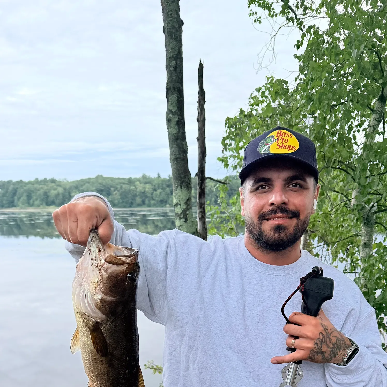 Largemouth bass caught on Fishbrain