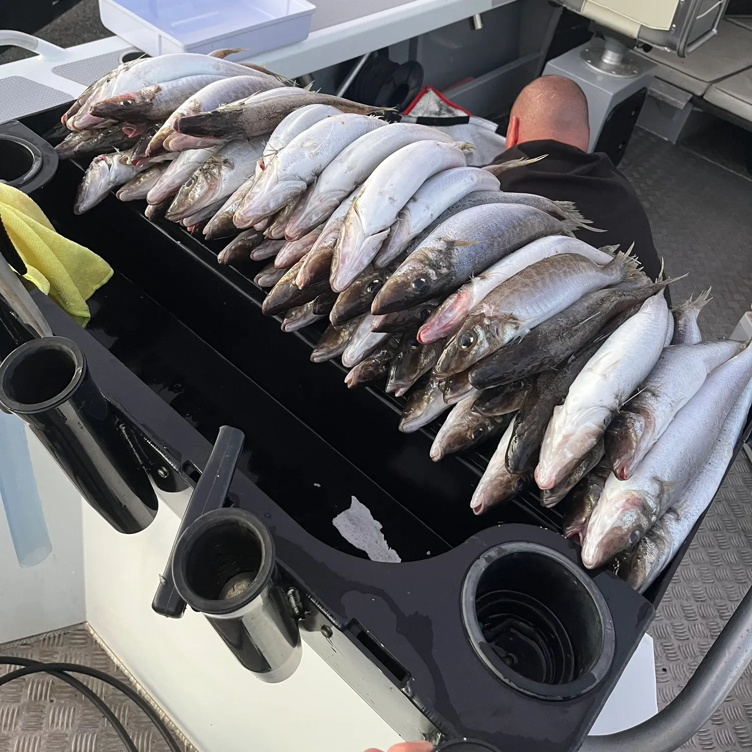 The most recent King George whiting catches on Fishbrain