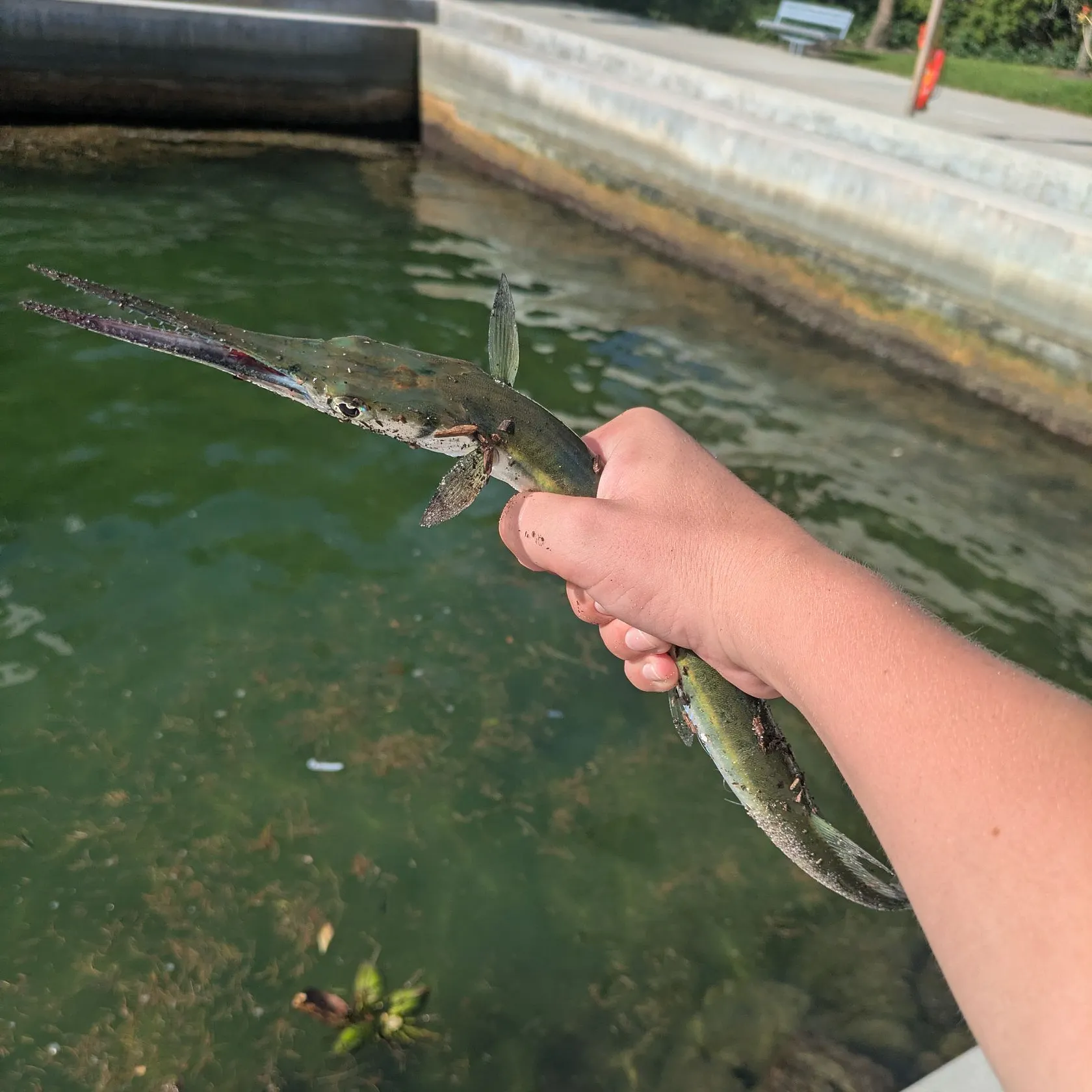 catch