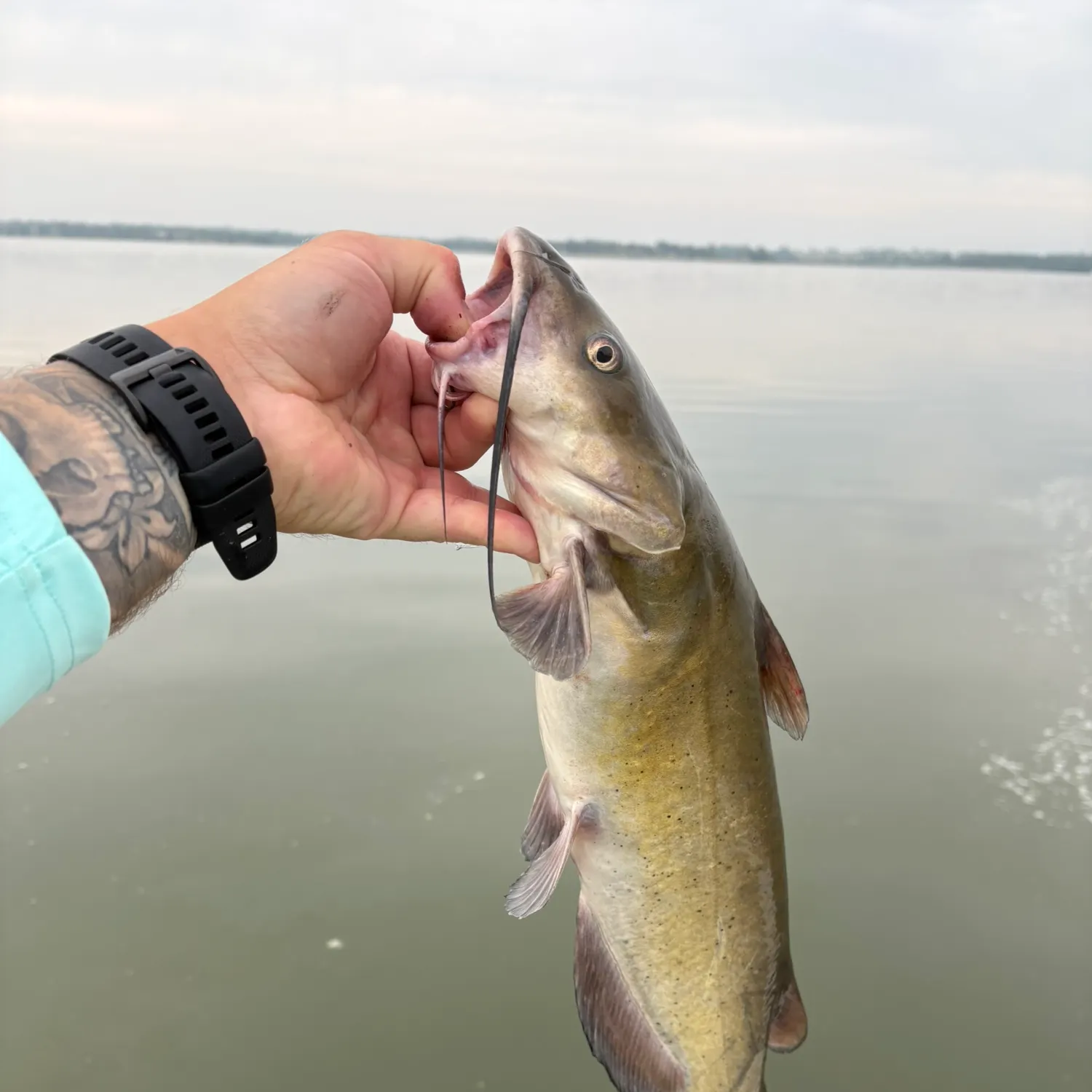catch