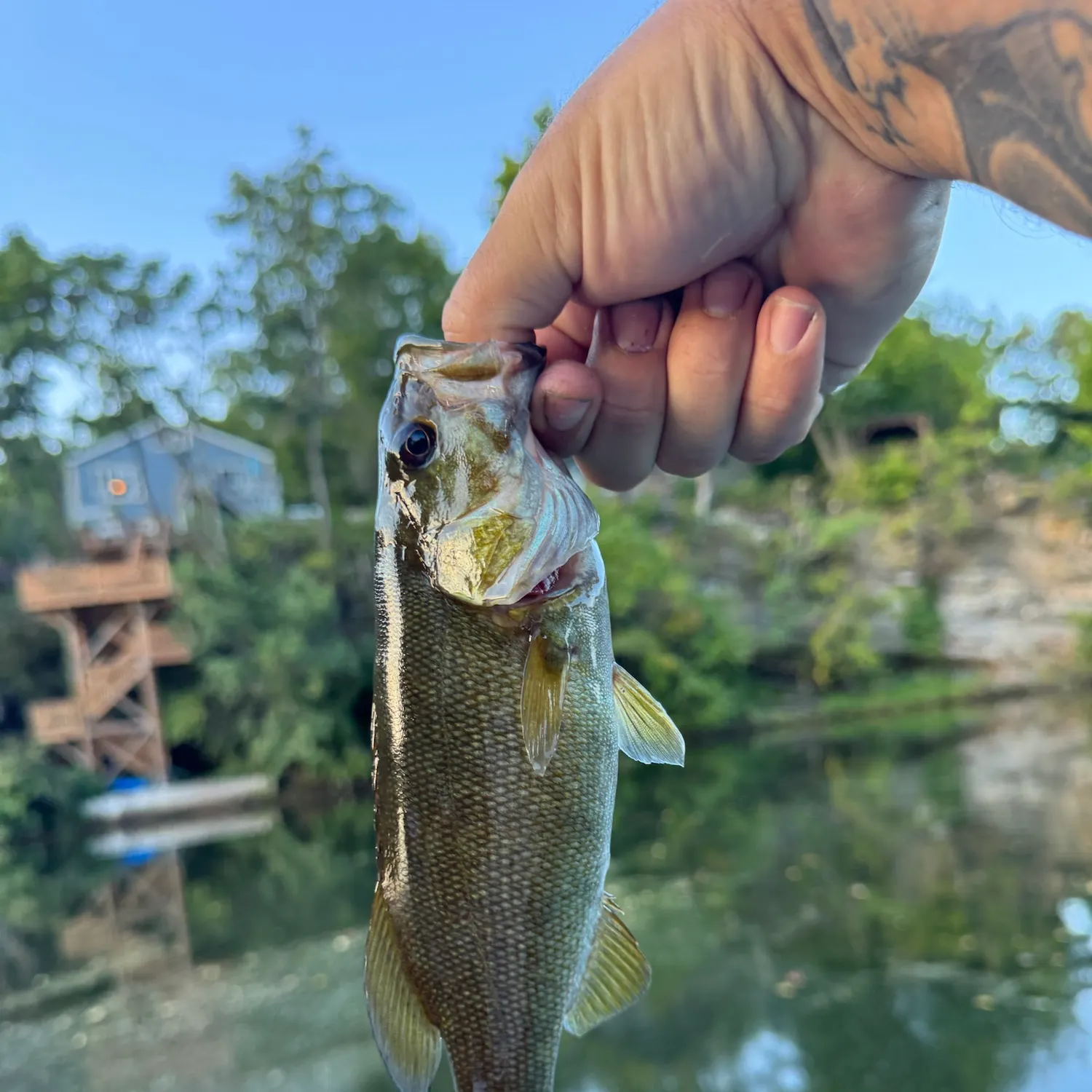 catch