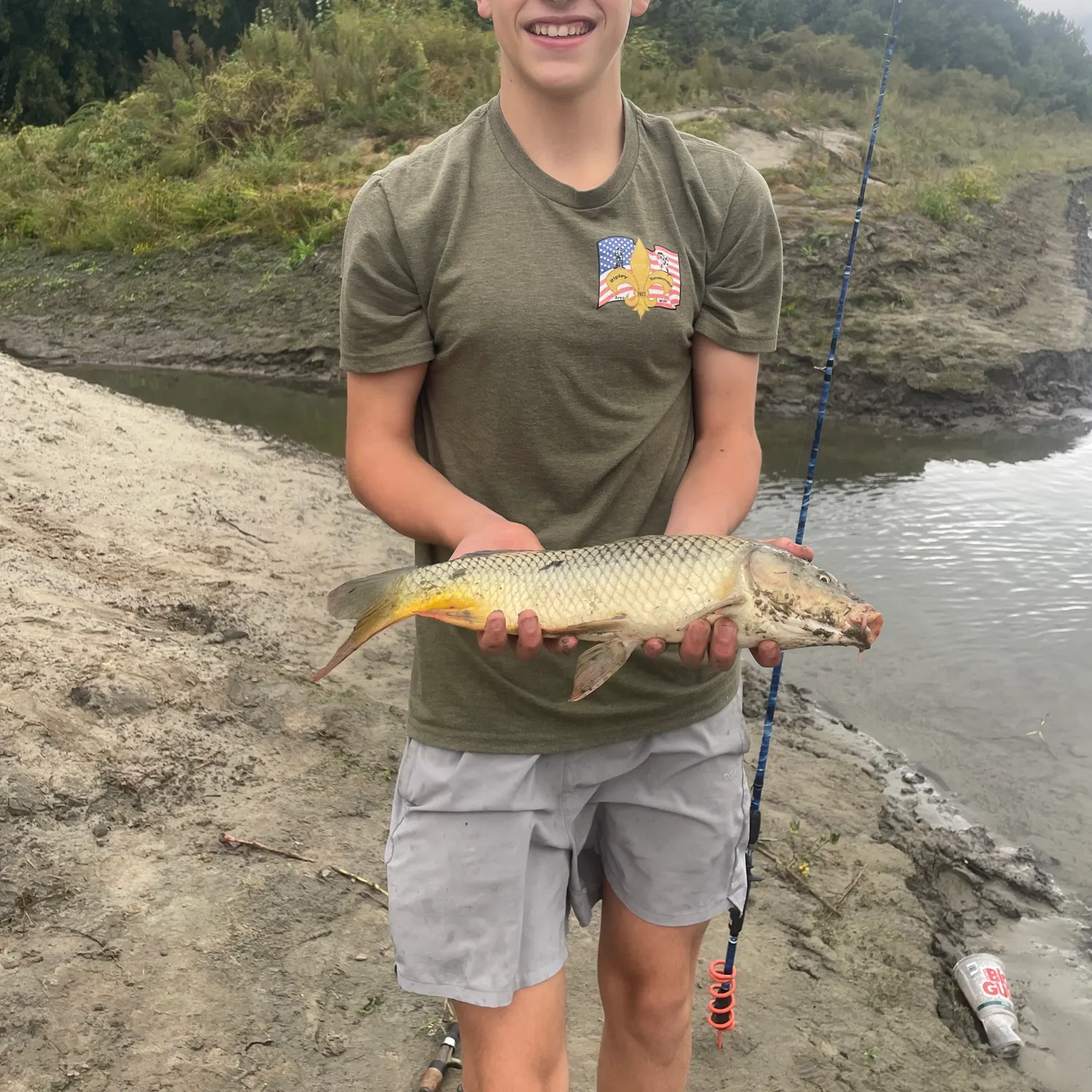 Common carp caught on Fishbrain