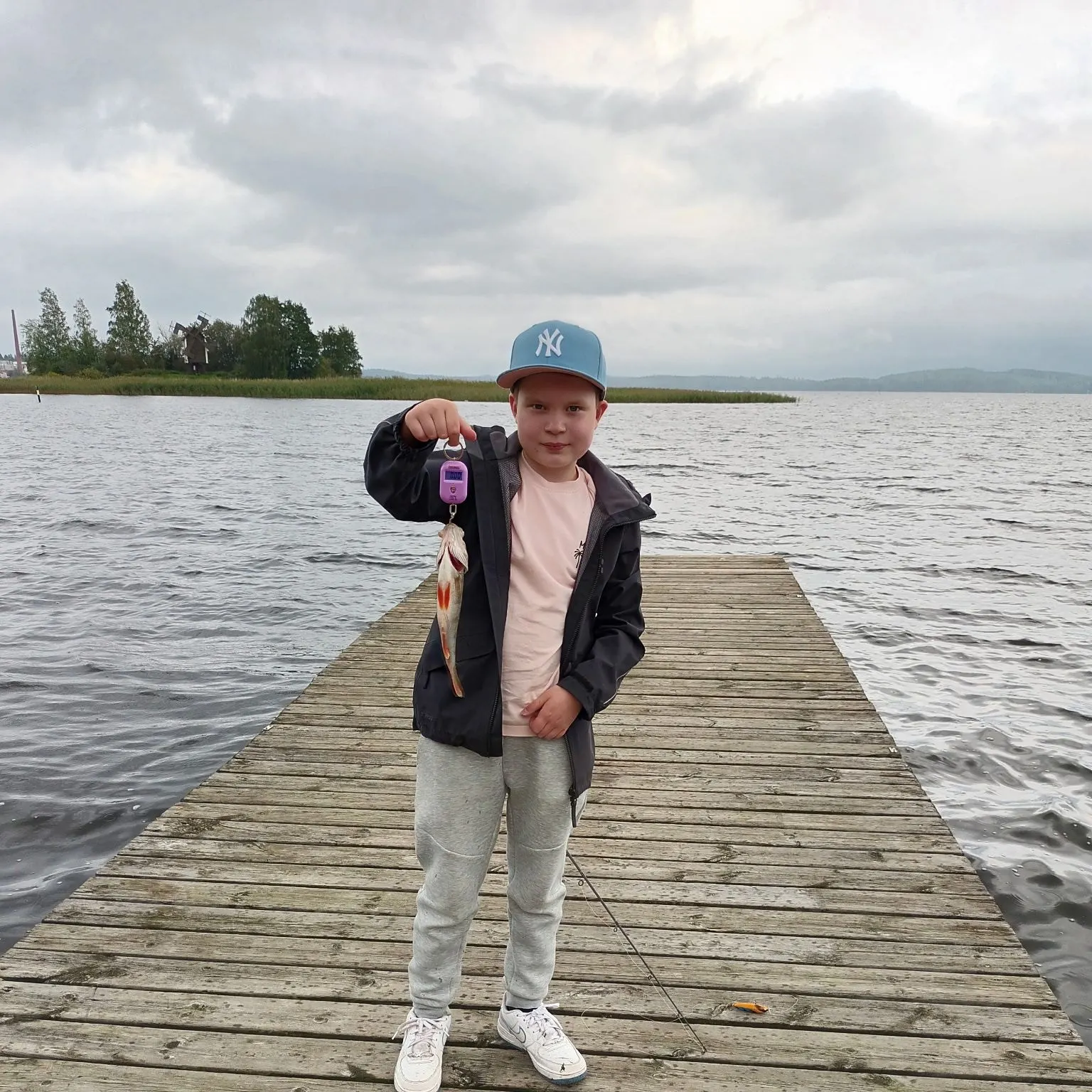 European perch caught on Fishbrain