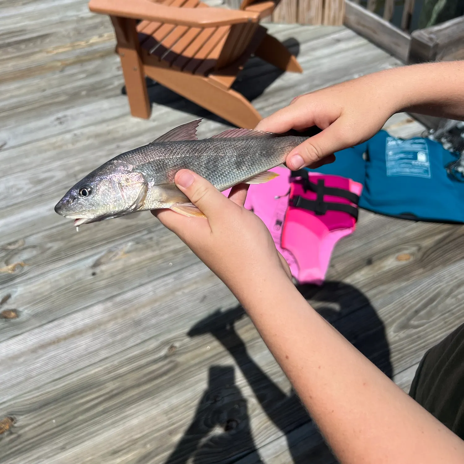 The most recent King George whiting catches on Fishbrain