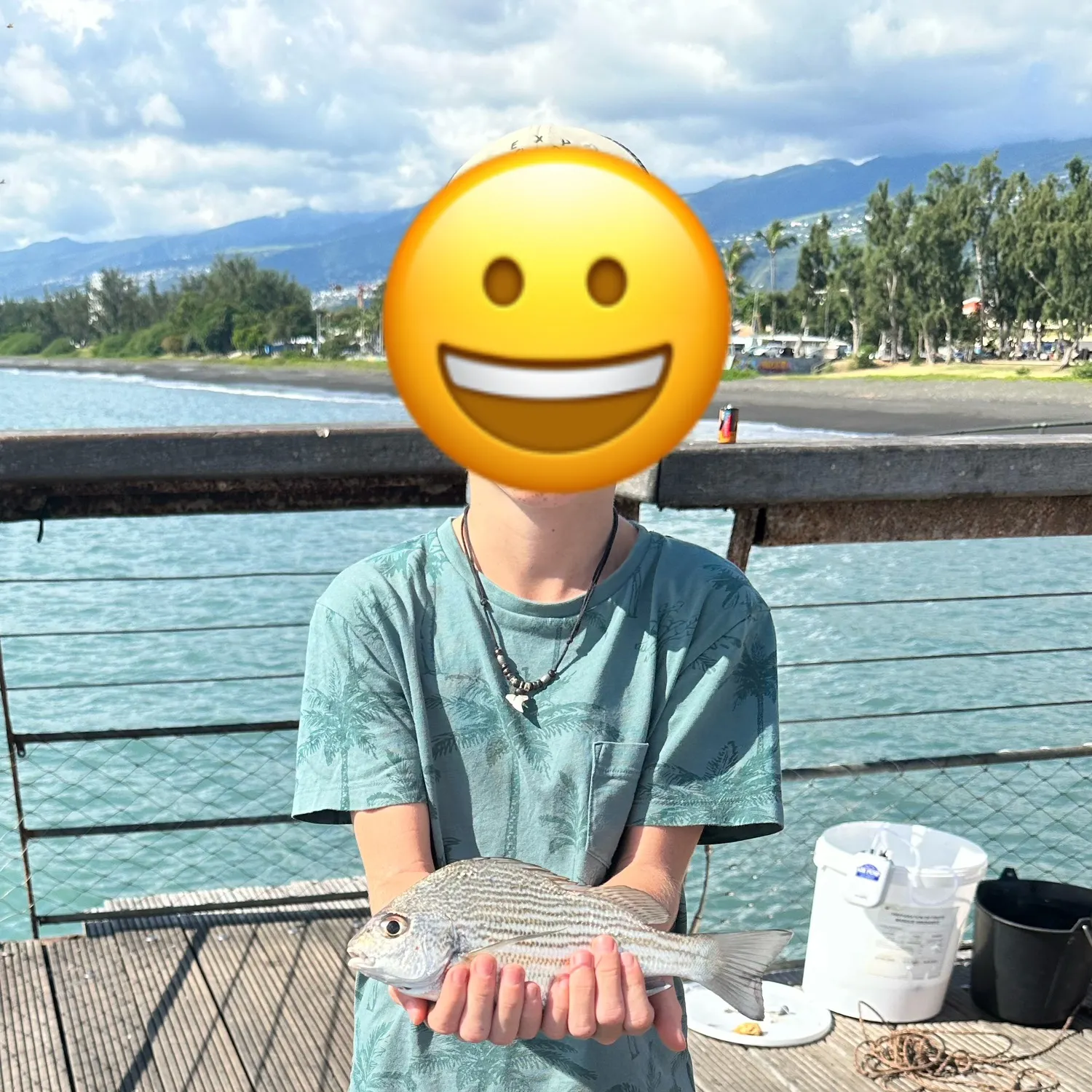 The most recent Streaked spinefoot catches on Fishbrain