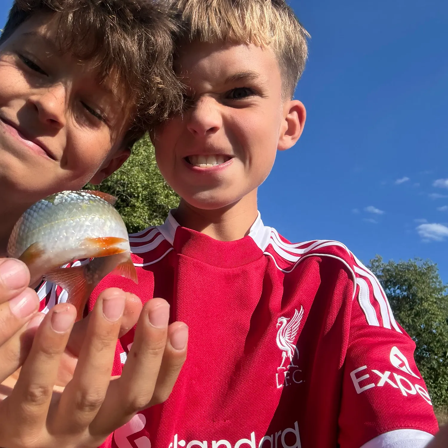 The most recent Common roach catches on Fishbrain