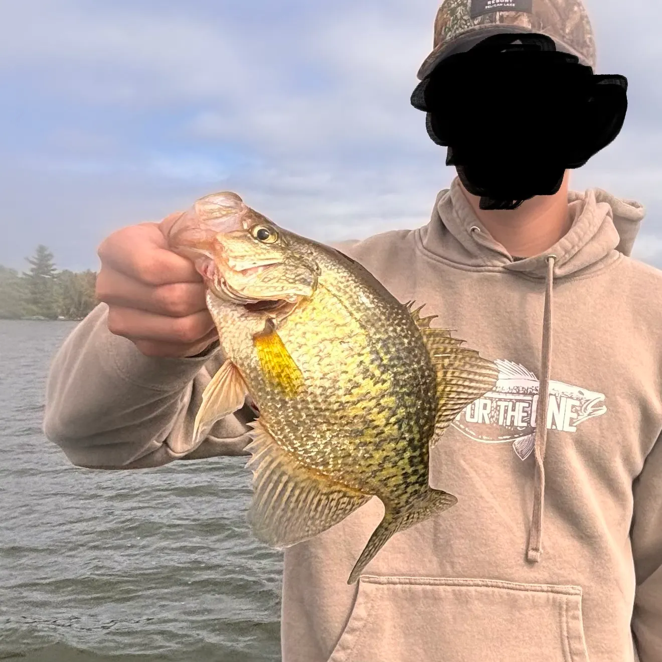 Black crappie caught on Fishbrain