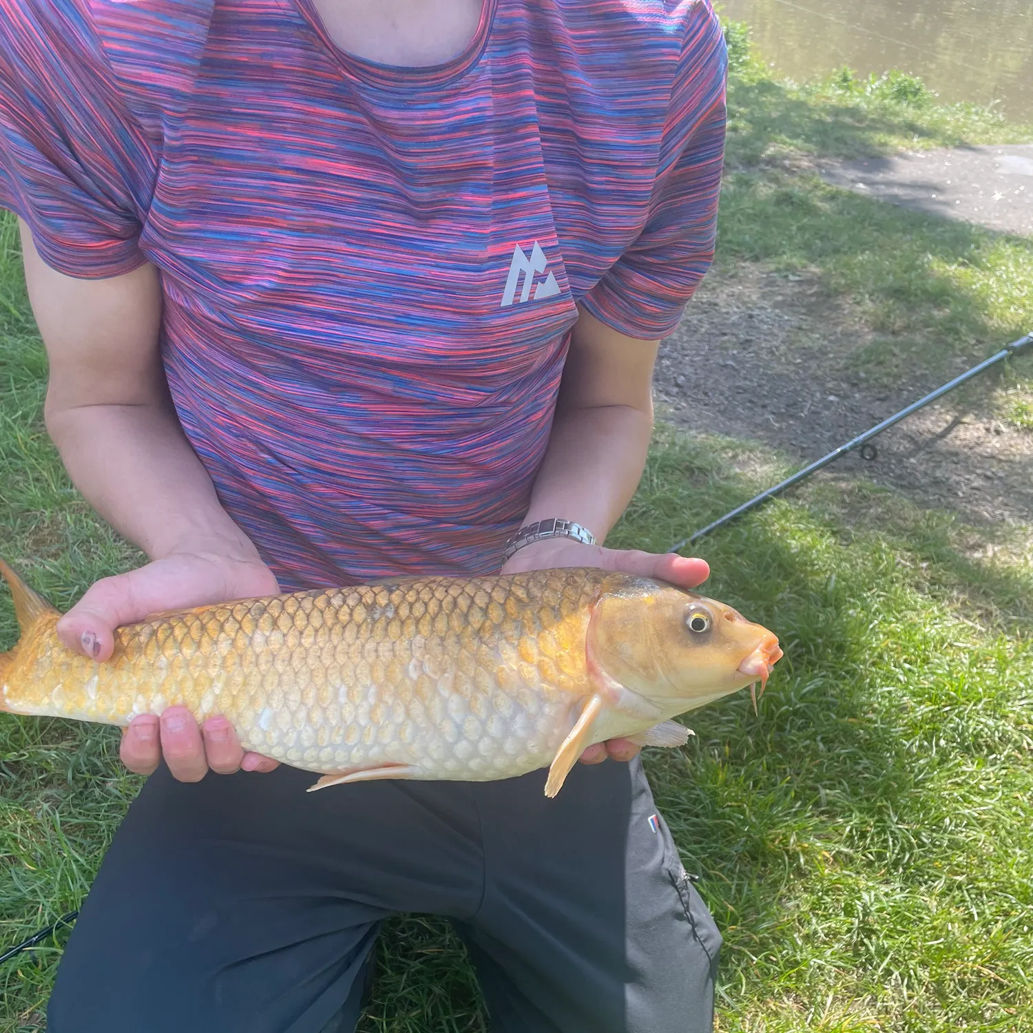 angler catch