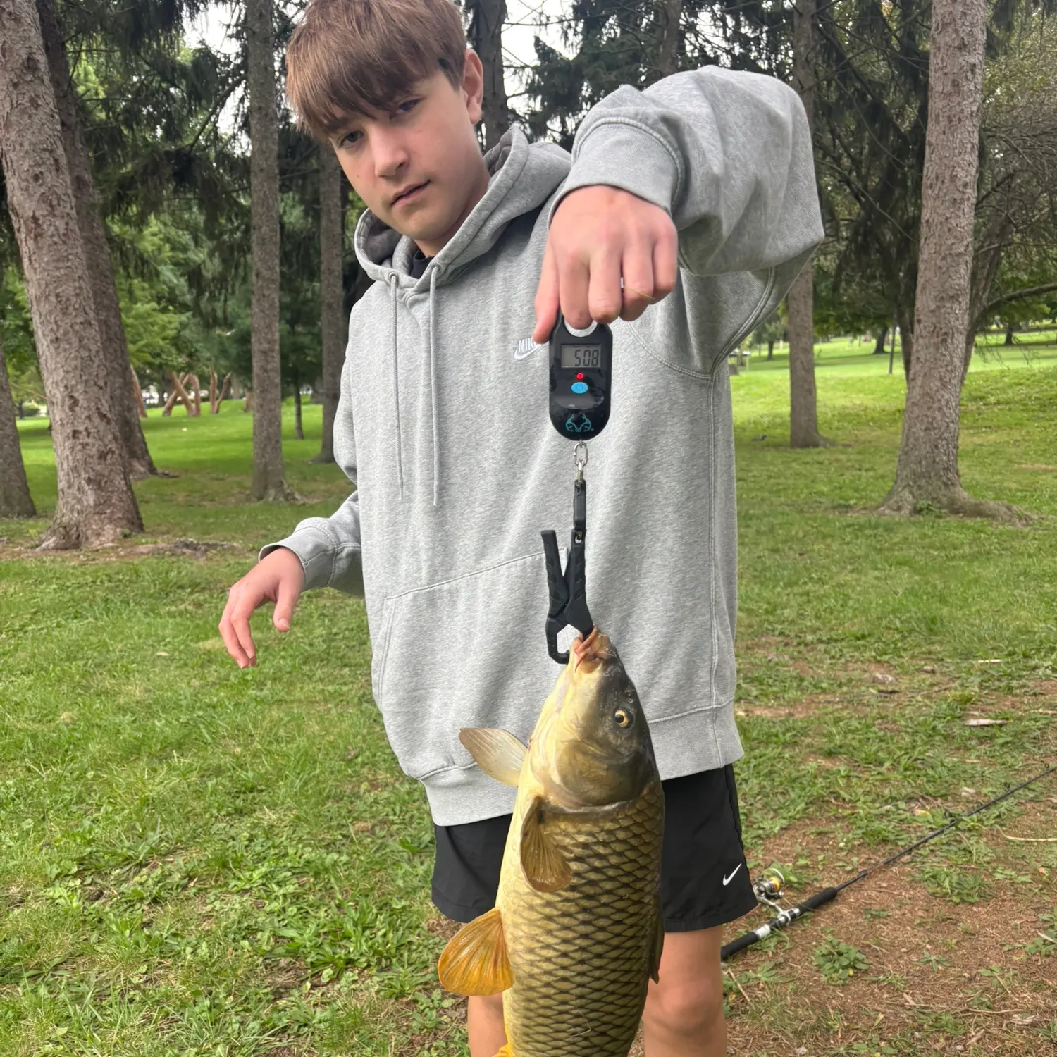 Common carp caught on Fishbrain