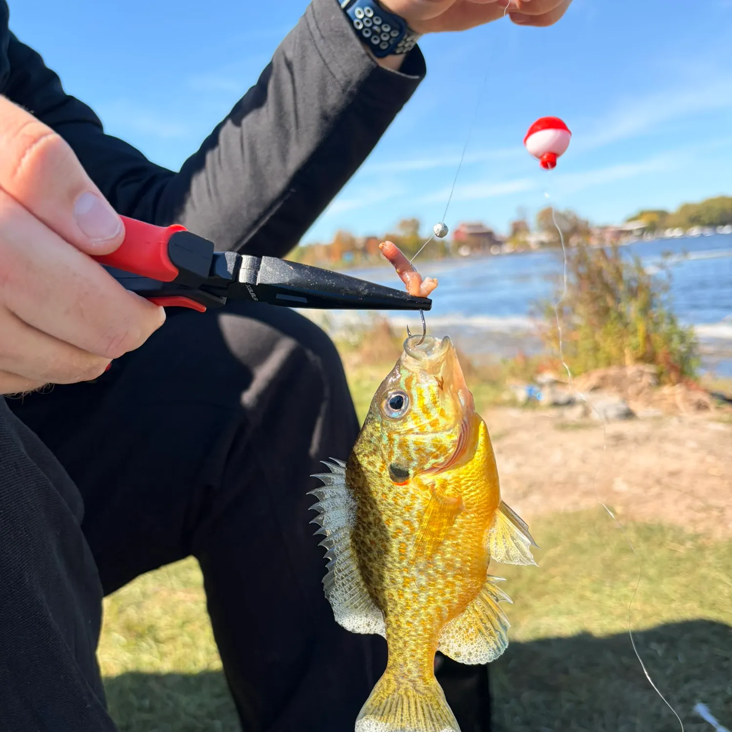 catch