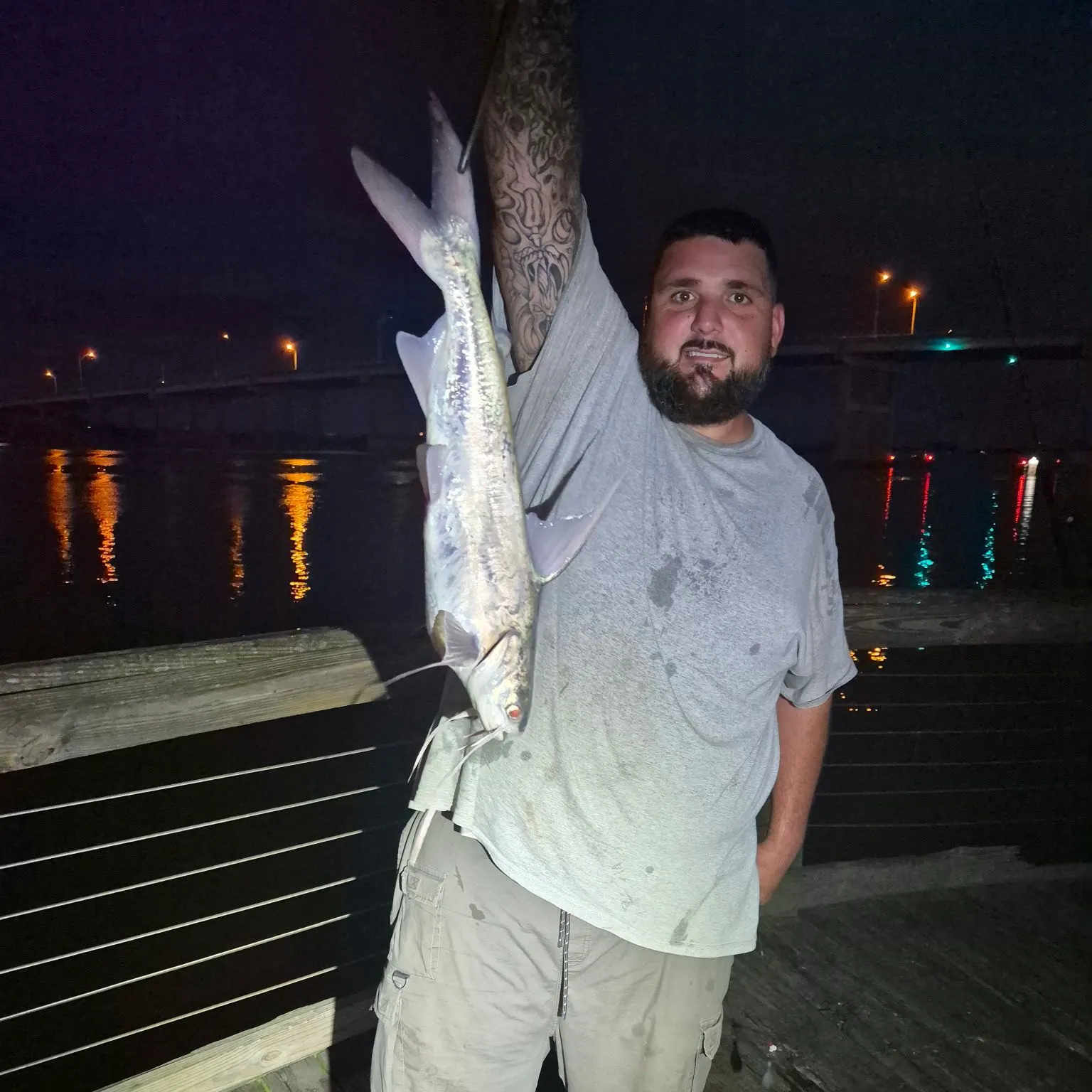 The most recent Hardhead sea catfish catches on Fishbrain