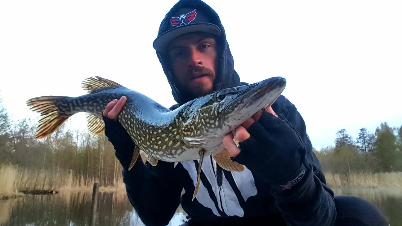 Post image from JPsson