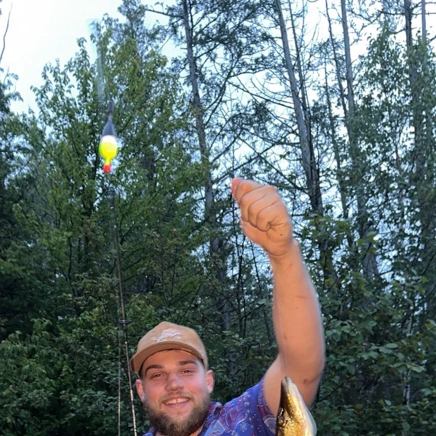 Northern pike caught on Fishbrain