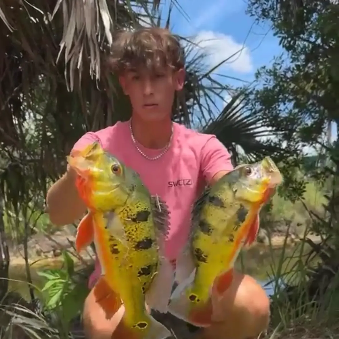 Butterfly peacock bass caught on Fishbrain